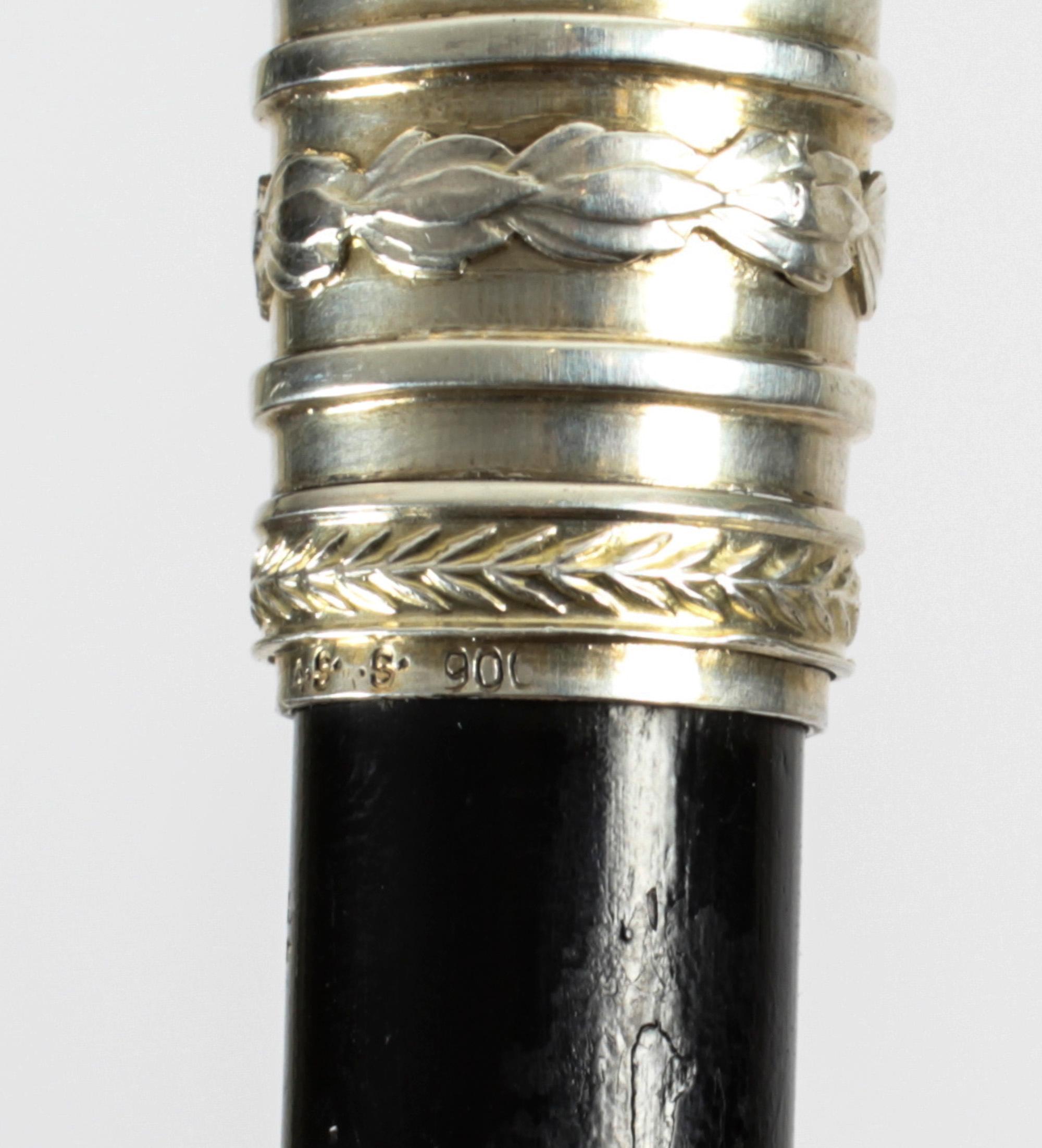 Antique Austrian Amethyst Sterling Silver Walking Stick Cane Adam Schied 1900 7