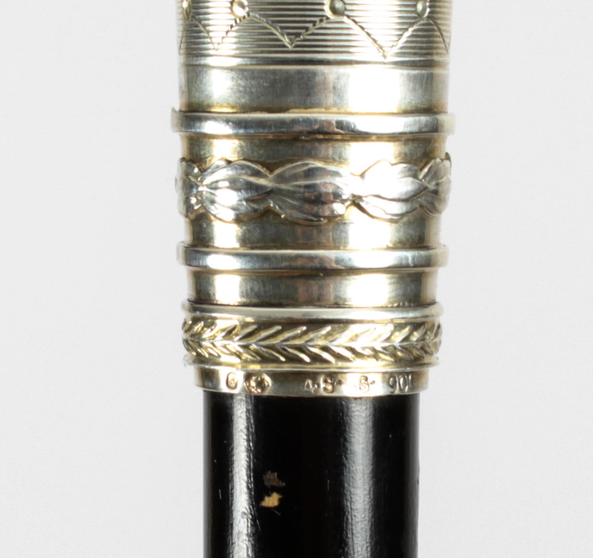 Antique Austrian Amethyst Sterling Silver Walking Stick Cane Adam Schied 1900 9