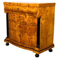 Antico comò austriaco Biedermeier in betulla d'oro ed ebano 1820