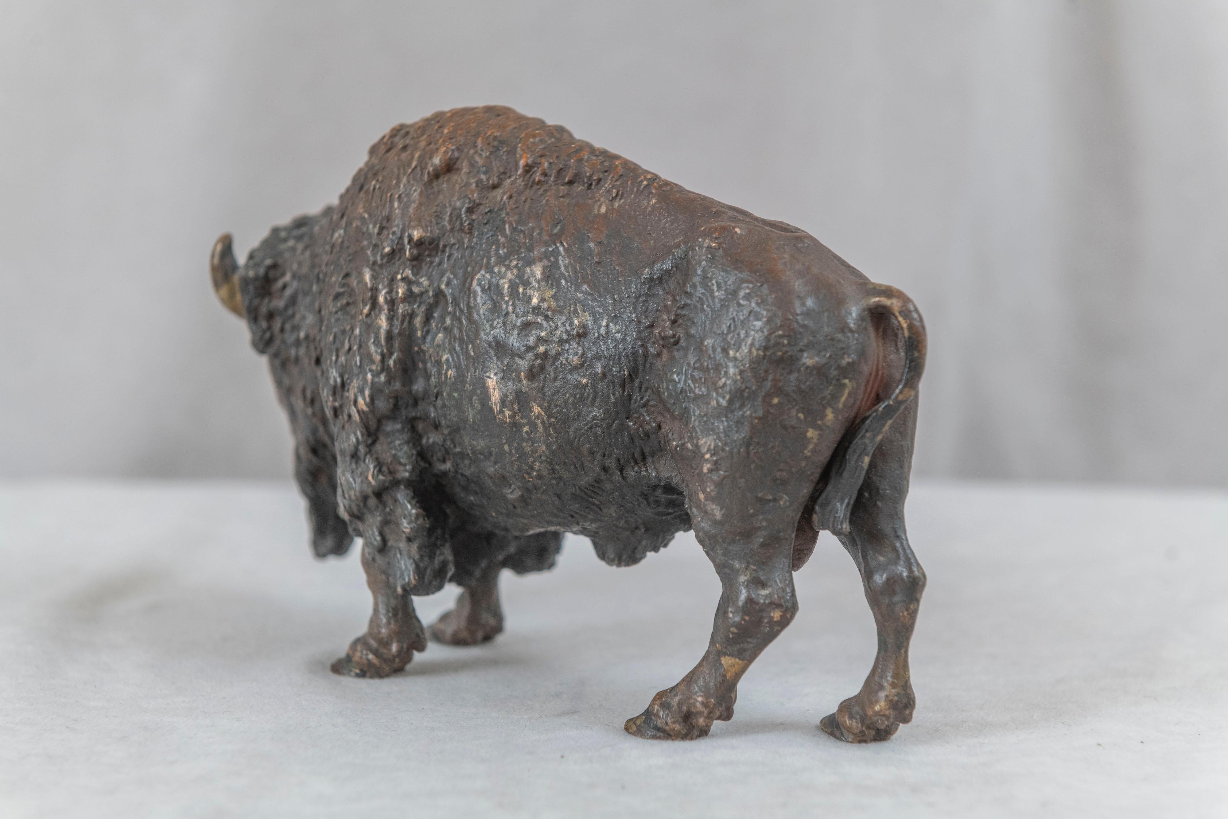 20th Century Antique Austrian Bronze Bison, Attributed to Kauba, ca. 1910 For Sale