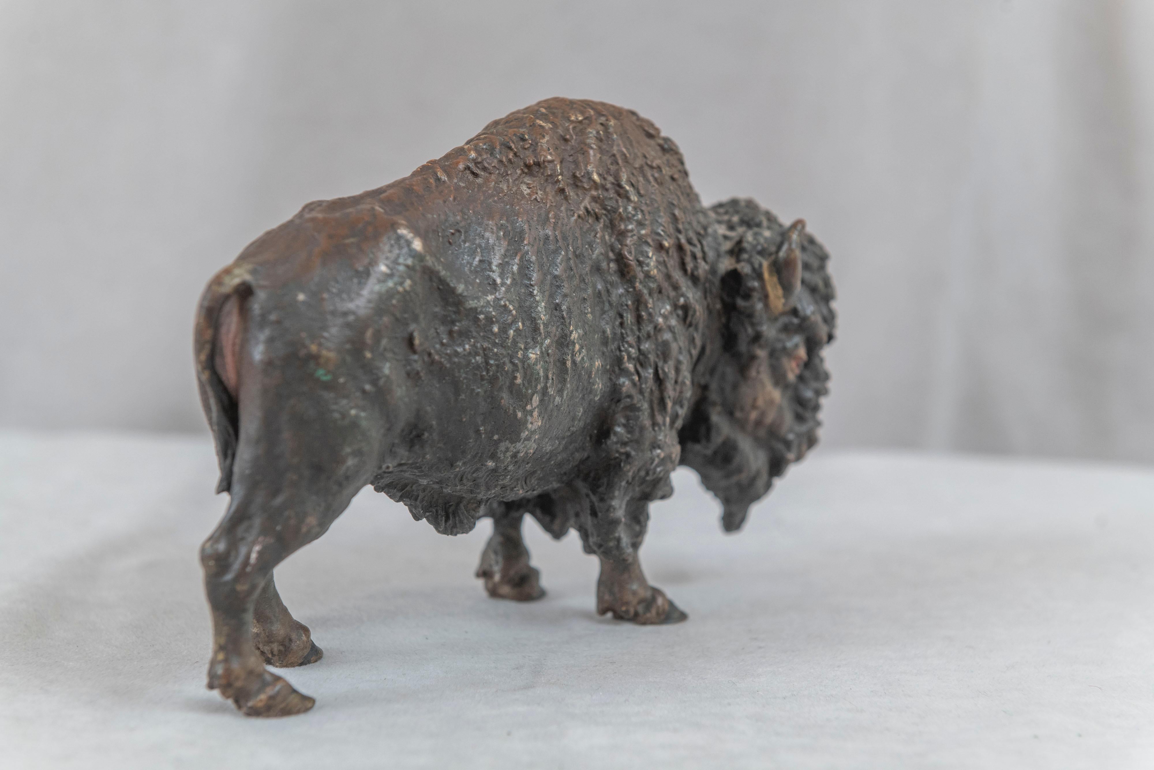 Antique Austrian Bronze Bison, Attributed to Kauba, ca. 1910 For Sale 1