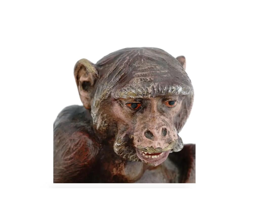 Antique Austrian Cold Painted Bronze Monkey Figure 4