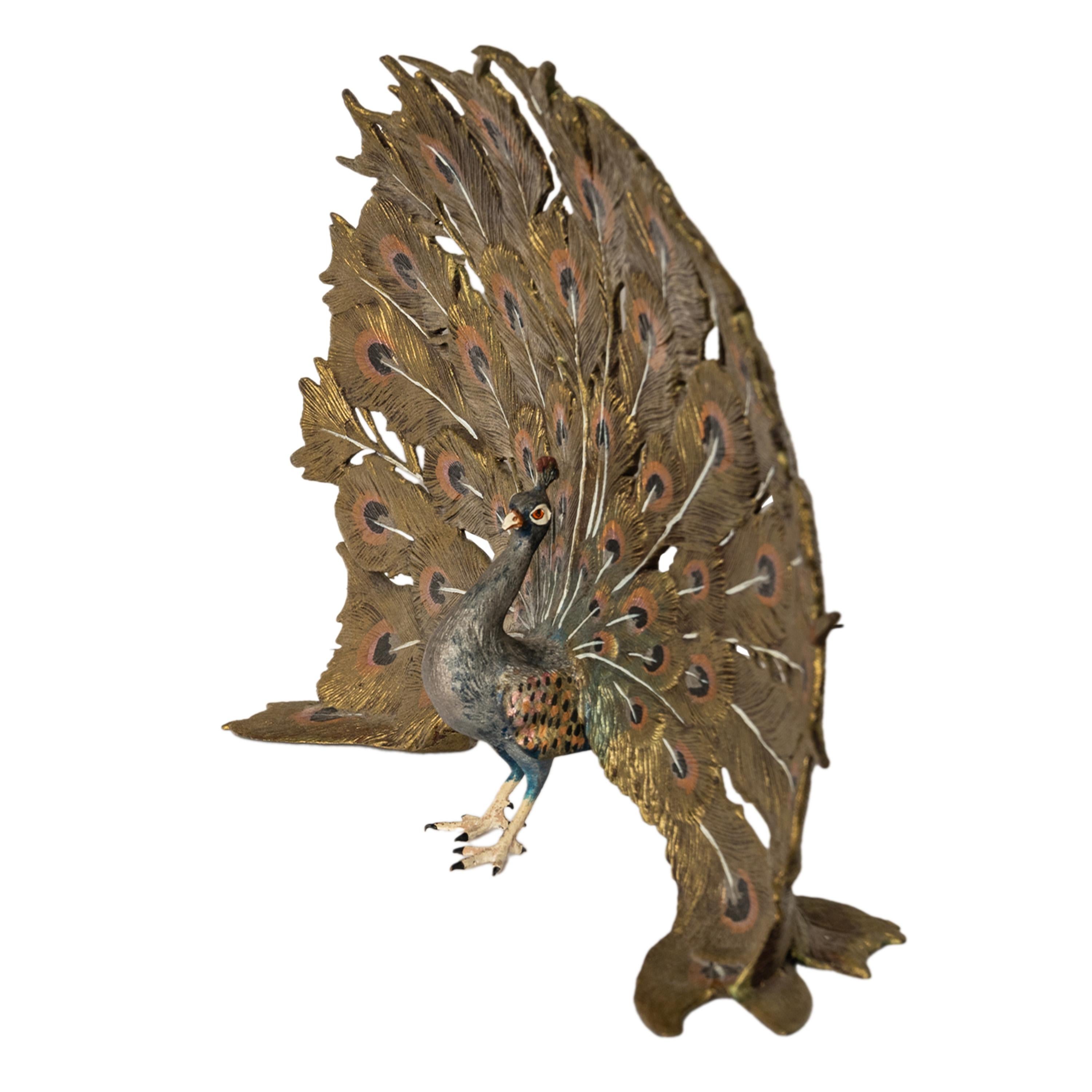 Antique Austrian Franz Bergman Cold Painted Bronze Peacock Sculpture Statue 1920 3