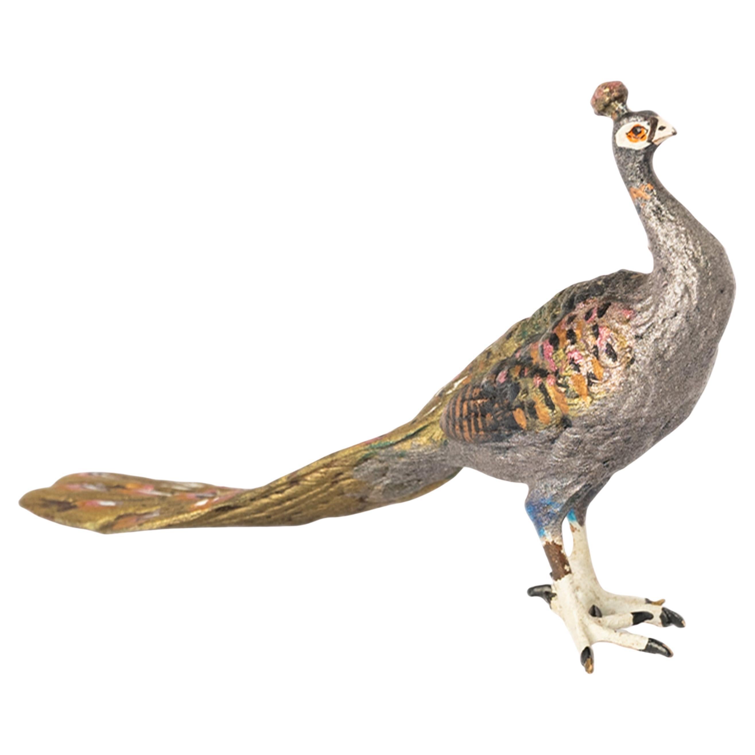 Antique Austrian Franz Bergman Cold Painted Bronze Peacock Sculpture Statue 1920
