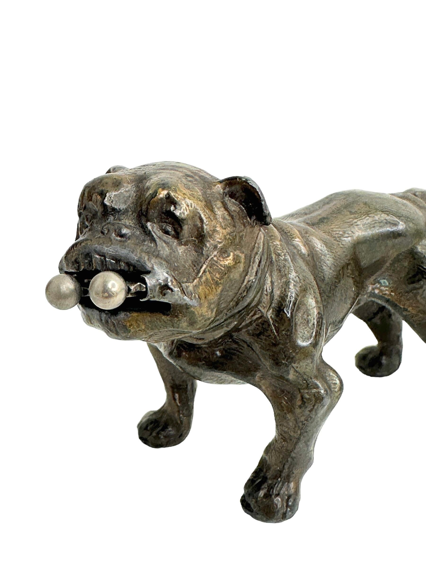 Antique Austrian French Bulldog or Pug Dog Figural Cigar Cutter, 1920s For Sale 9