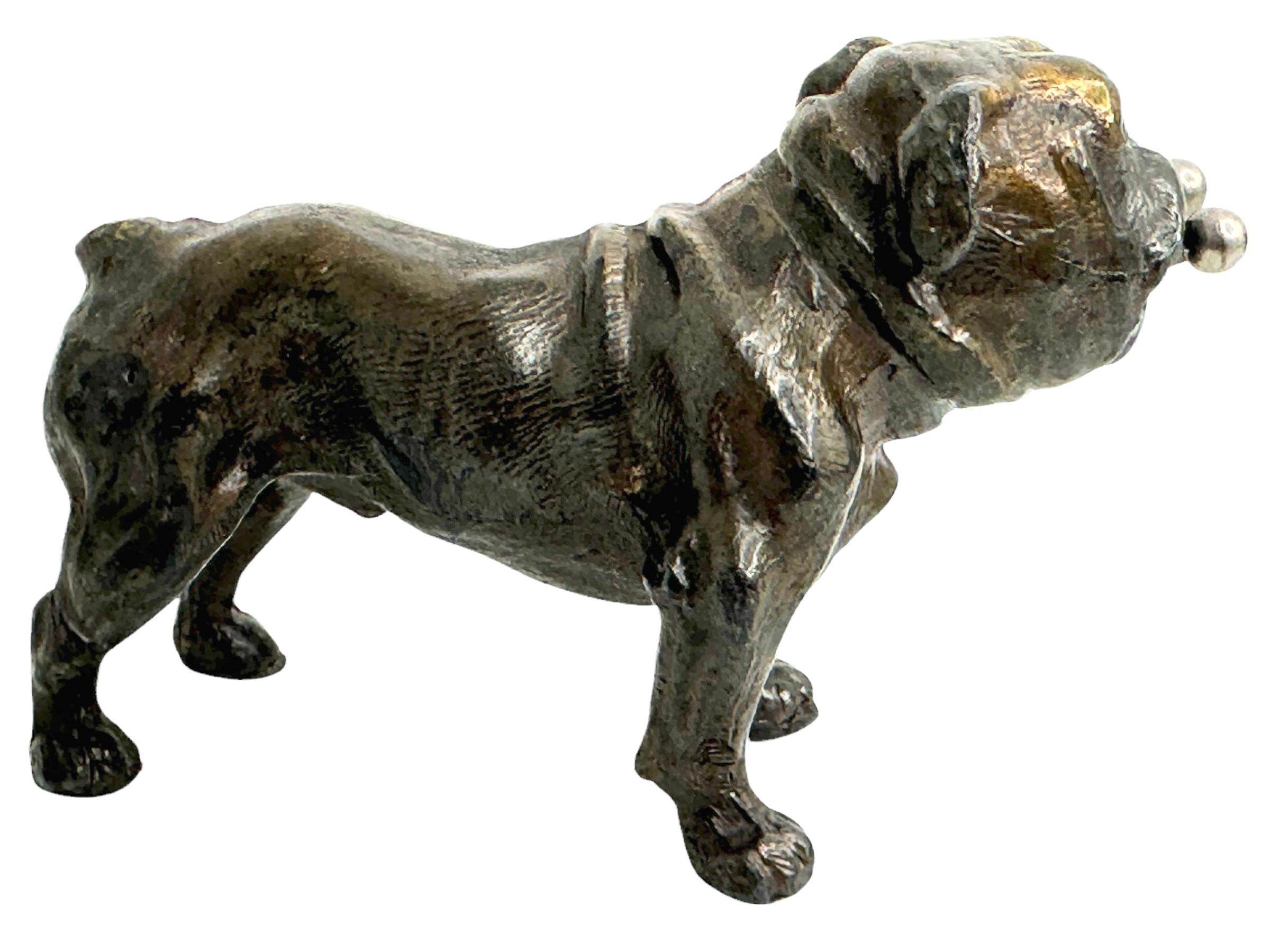 Antique Austrian French Bulldog or Pug Dog Figural Cigar Cutter, 1920s In Good Condition For Sale In Nuernberg, DE