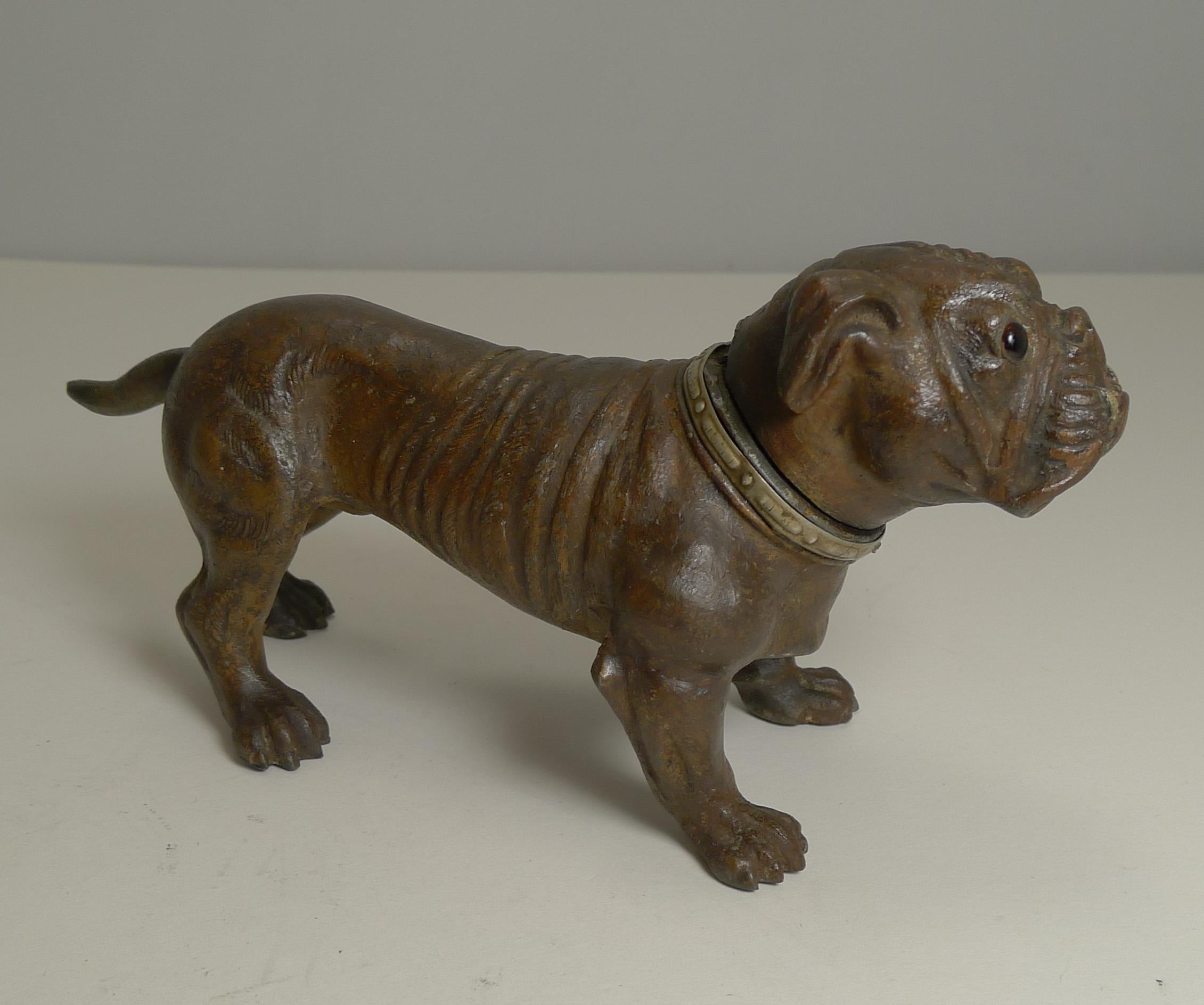 Antique Austrian Painted Metal Table Lighter, Figural, Dog, Bulldog, circa 1910 2