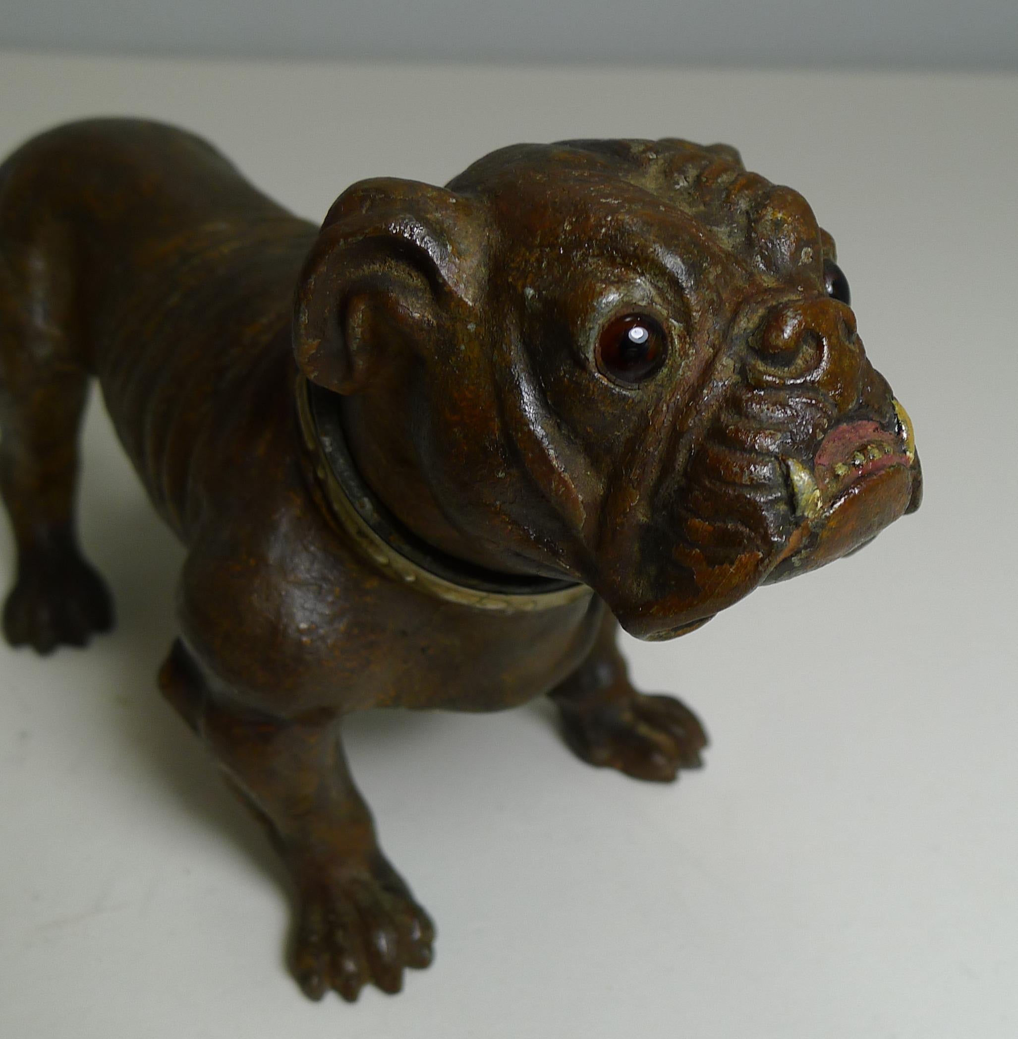 A very handsome English Bulldog lighter, made from metal and painted and retaining his two glass eyes.

There is a Patent and makers mark on the underside, I believe an Austrian or German Patent, his collar is also marked with Patent marks,