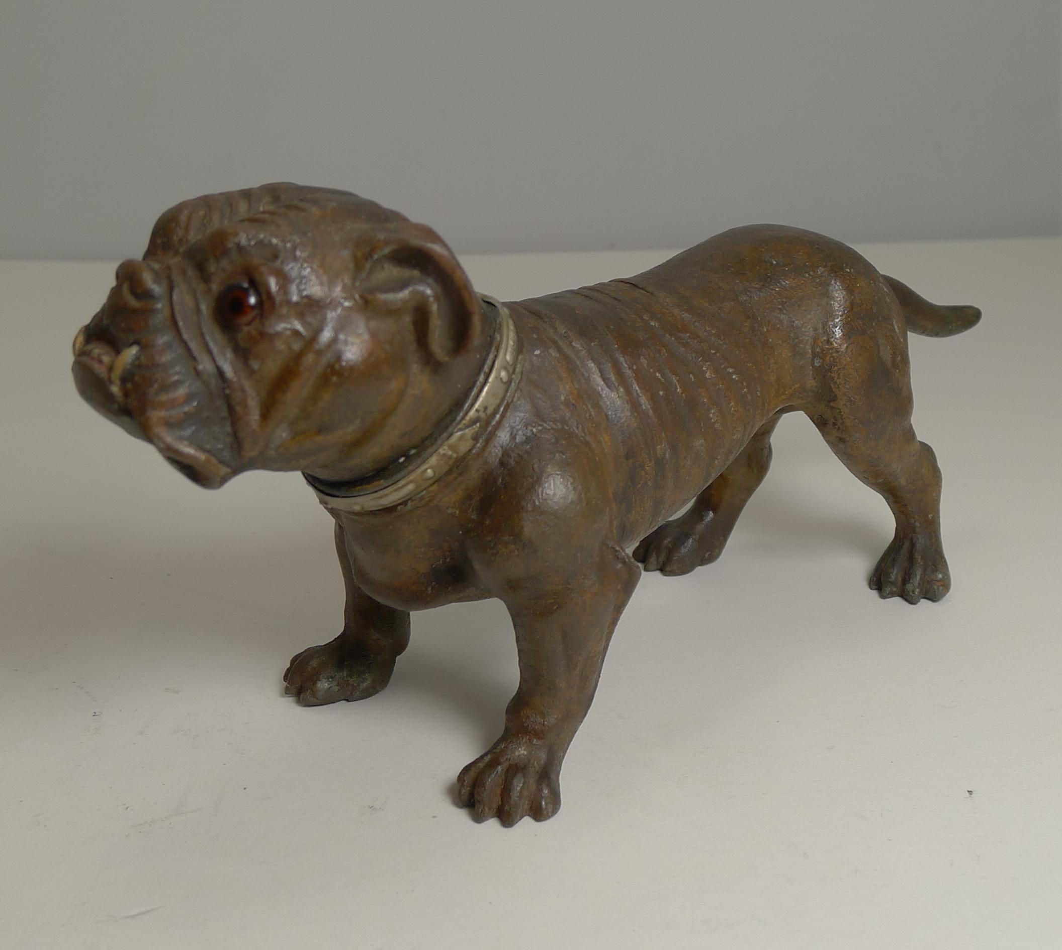 Cold-Painted Antique Austrian Painted Metal Table Lighter, Figural, Dog, Bulldog, circa 1910