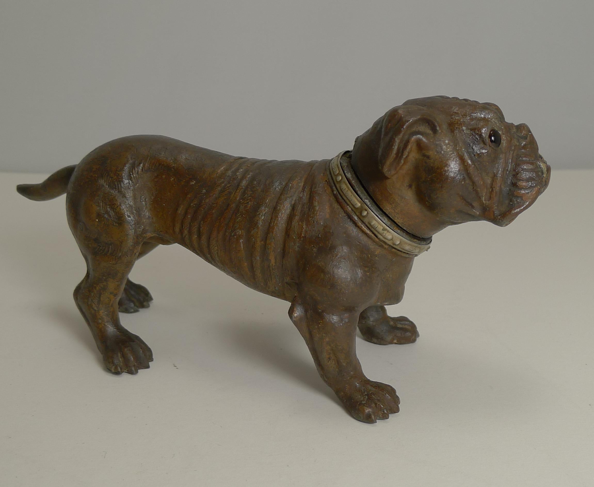 Antique Austrian Painted Metal Table Lighter, Figural, Dog, Bulldog, circa 1910 In Good Condition In Bath, GB