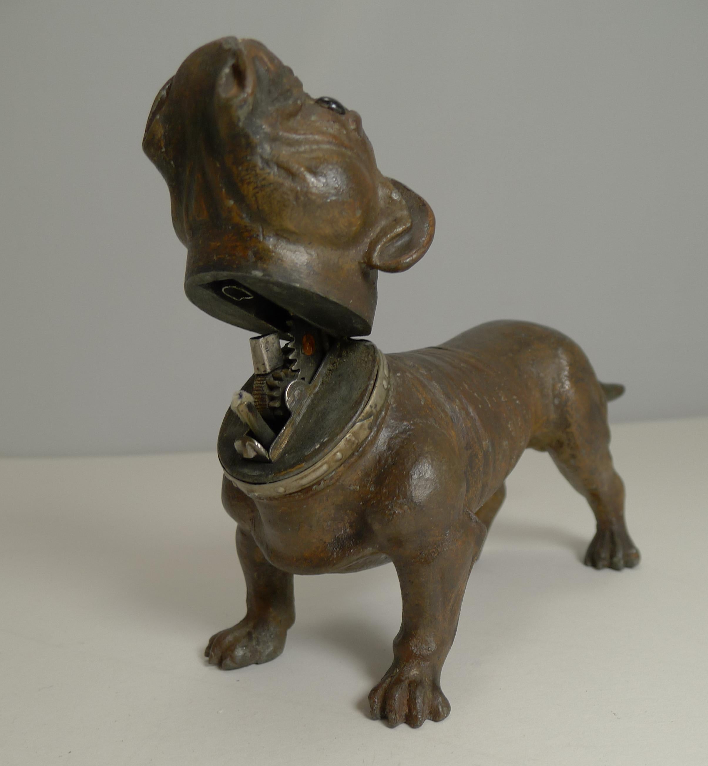 Early 20th Century Antique Austrian Painted Metal Table Lighter, Figural, Dog, Bulldog, circa 1910