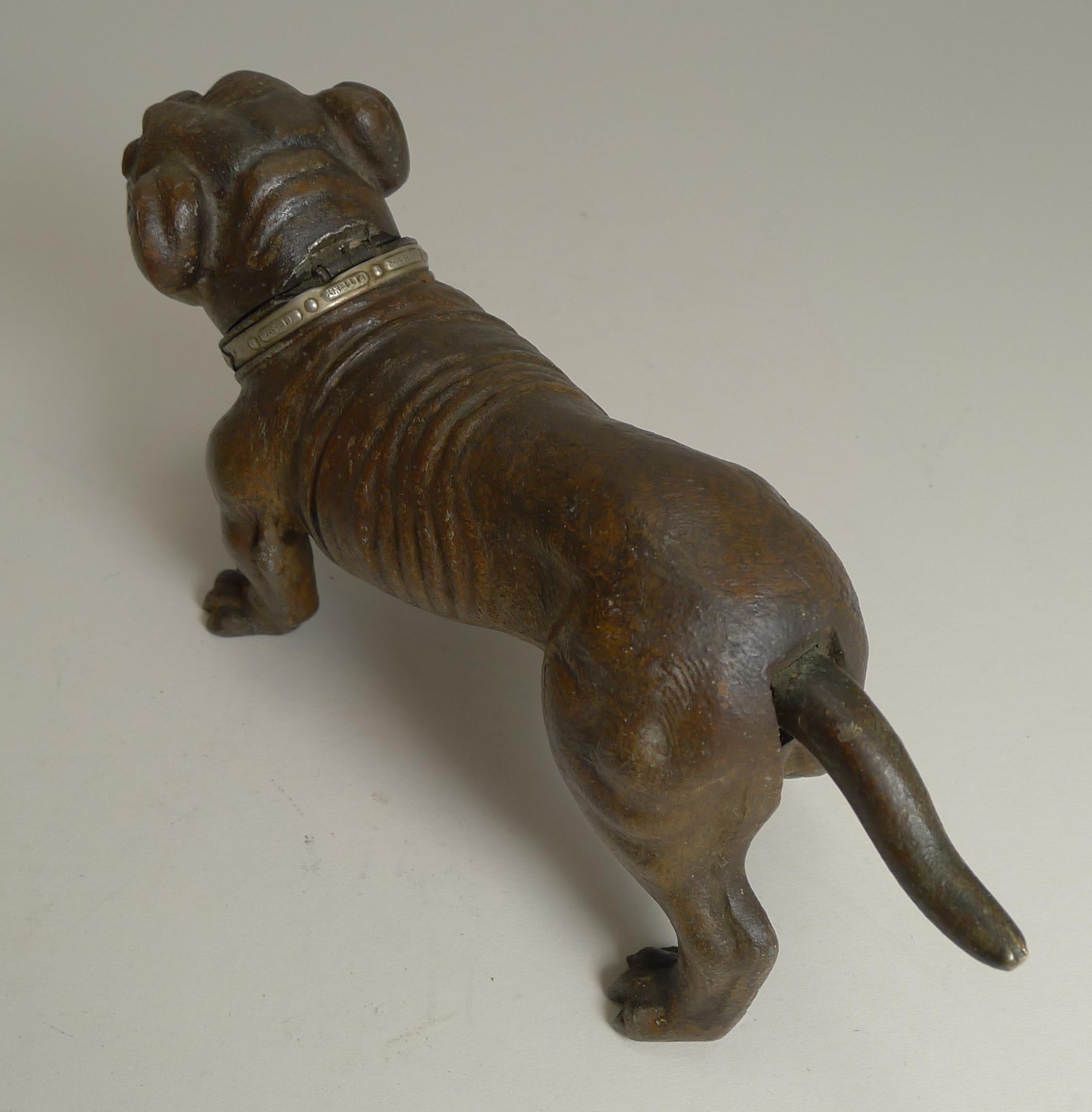 Antique Austrian Painted Metal Table Lighter, Figural, Dog, Bulldog, circa 1910 1