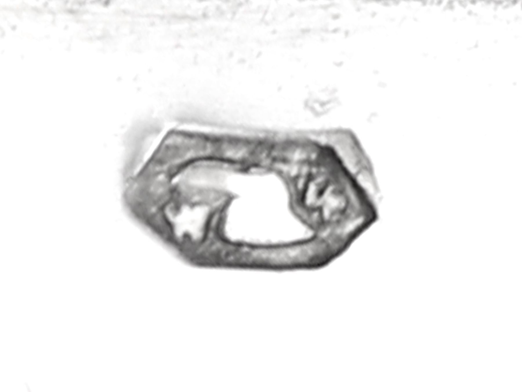Antico porta tè austriaco in argento Circa 1955 in vendita 3
