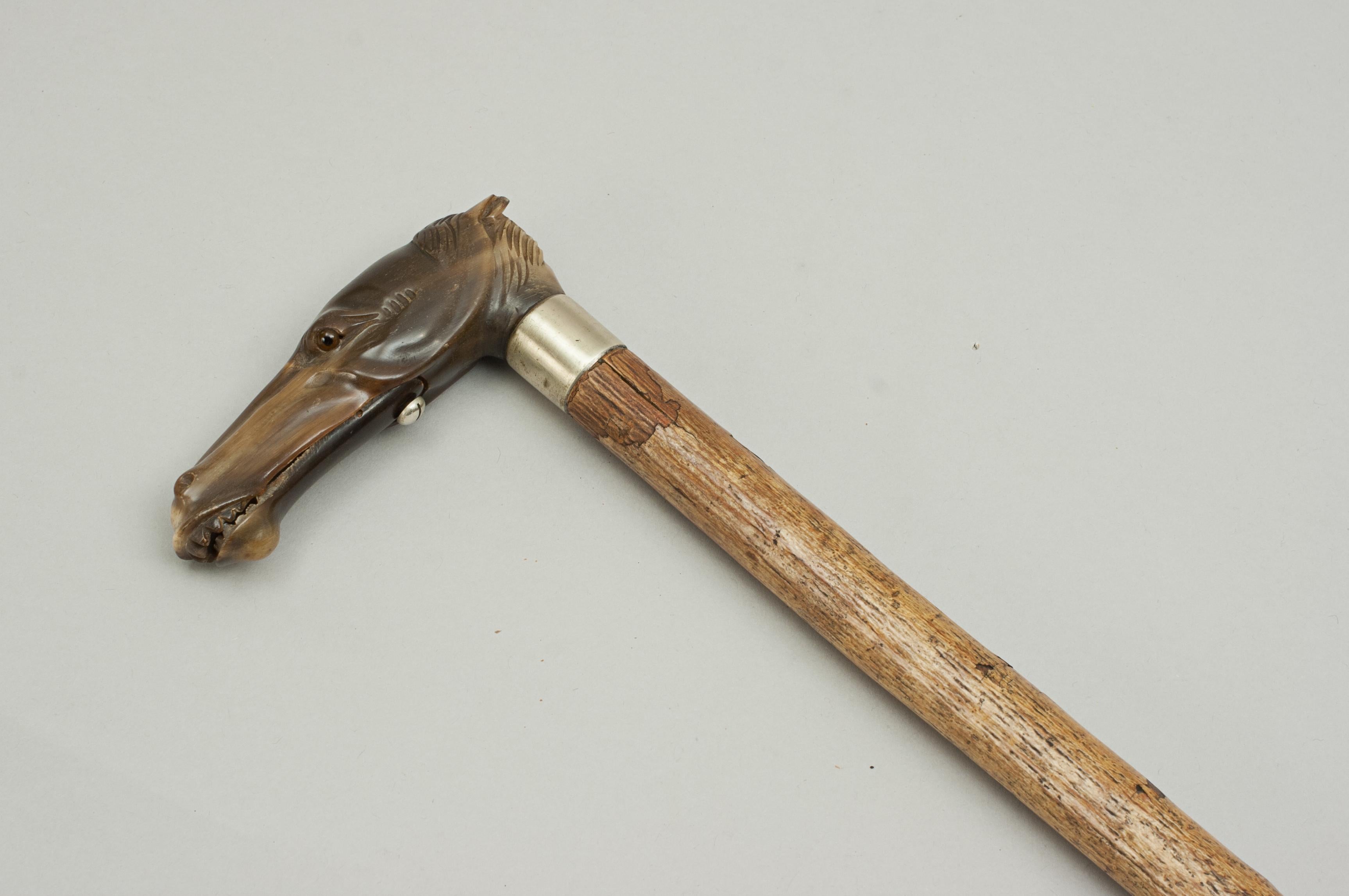 Early 20th Century Antique Automata Gentleman's Walking Stick, Horse Head Glove Holder For Sale