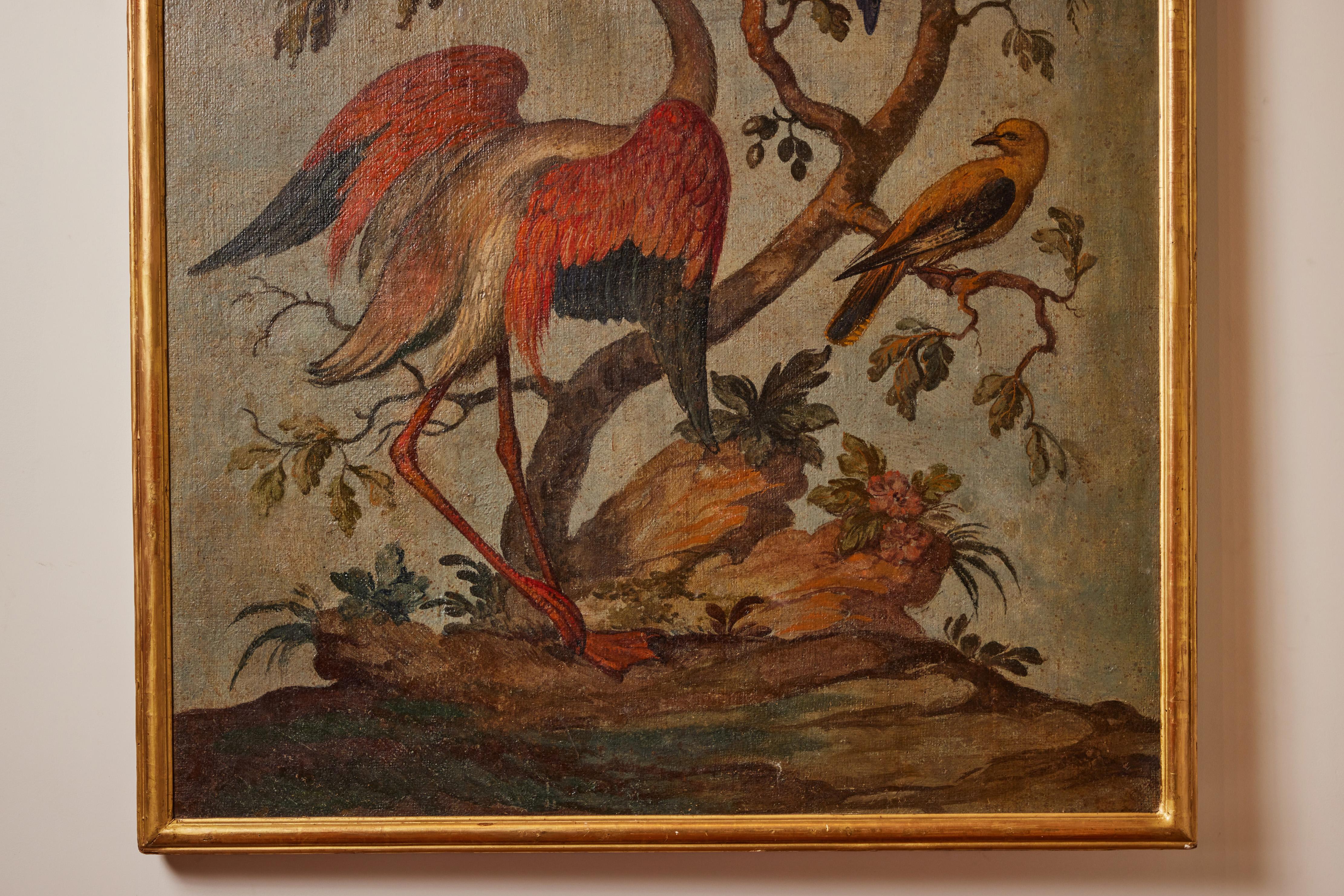 Antique, Avian Oil Paintings 3