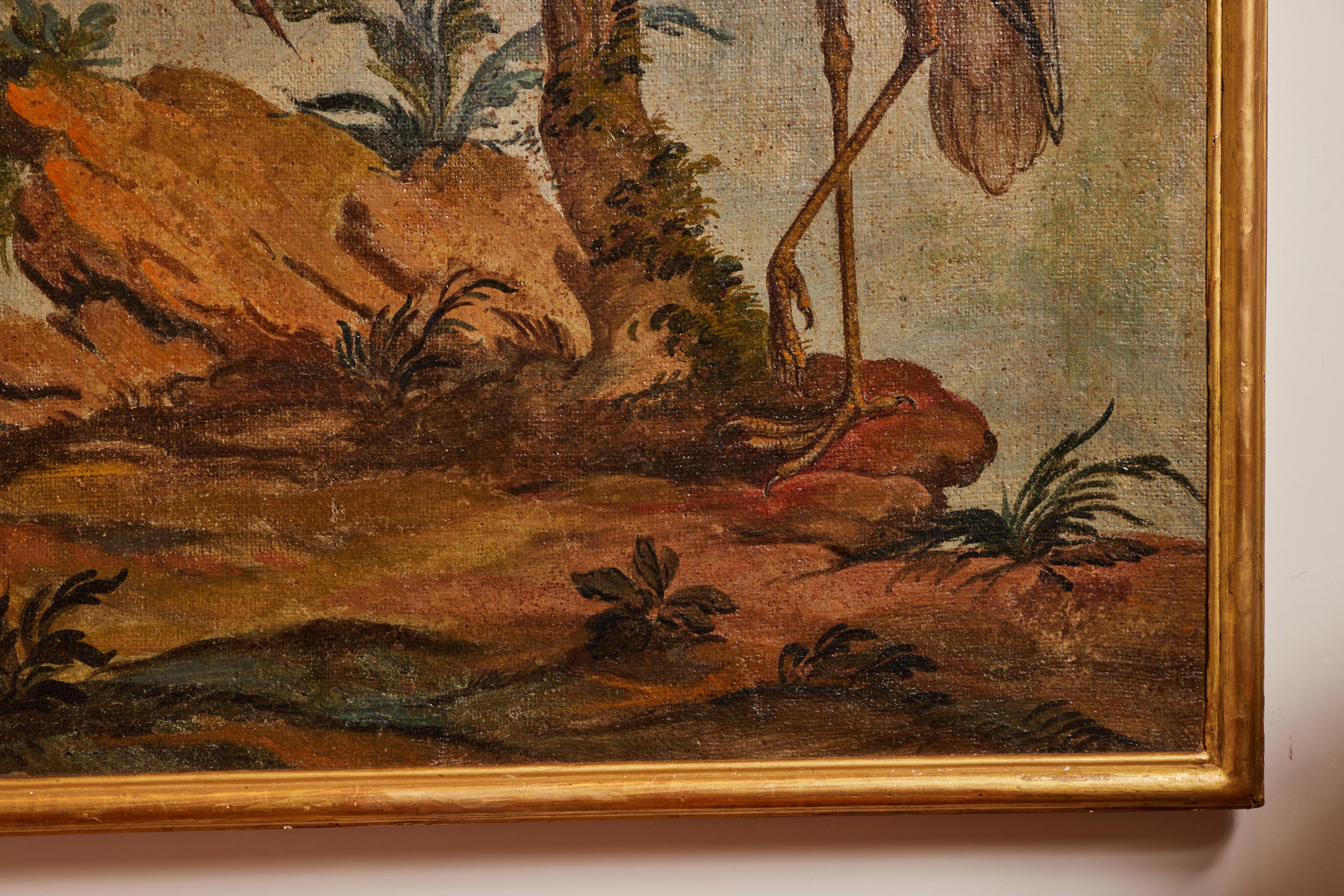Late 18th Century Antique, Avian Oil Paintings