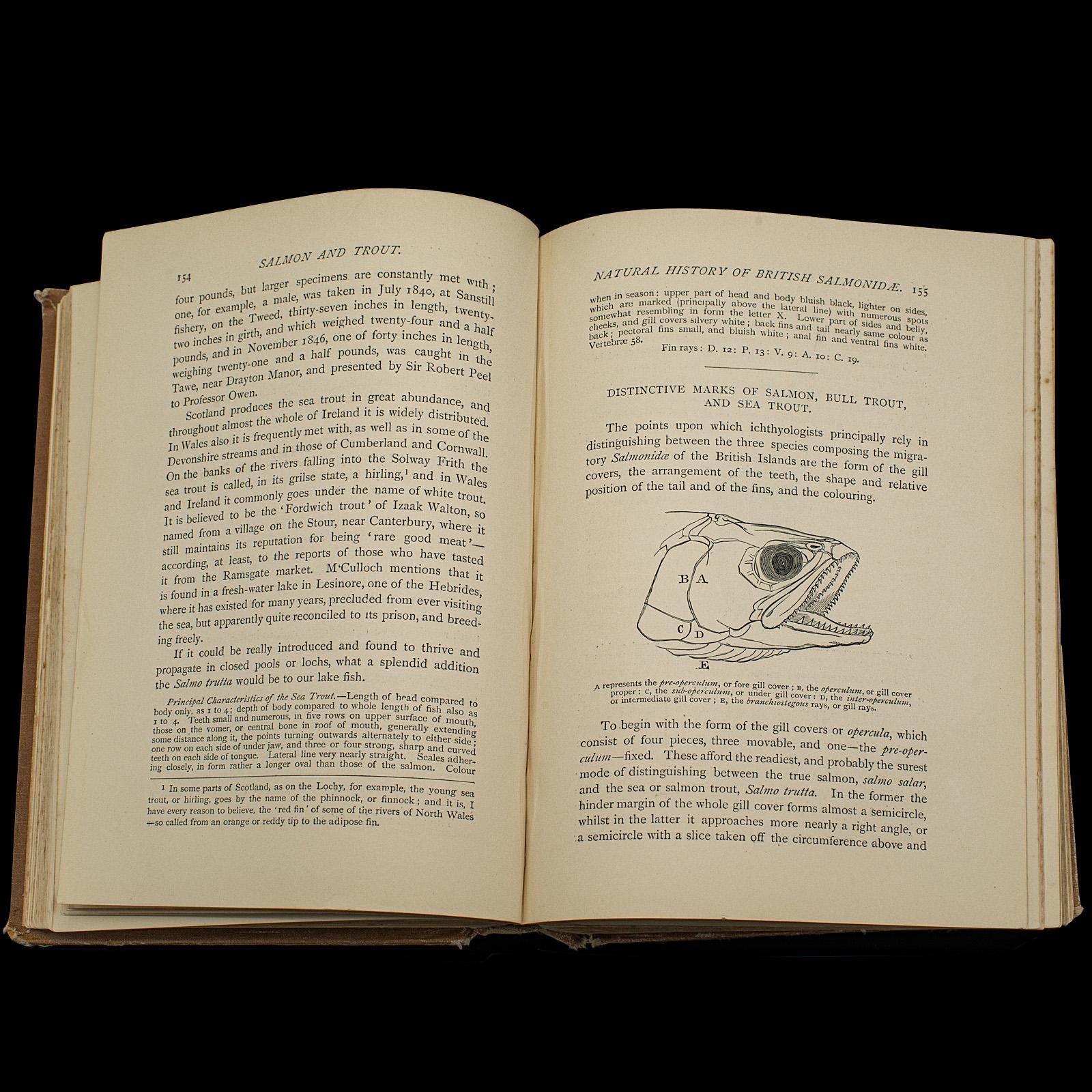 Antikes Badminton-Bibliotheksbuch, Fischen, Referenz, Englisch, Sport Interesse im Angebot 1