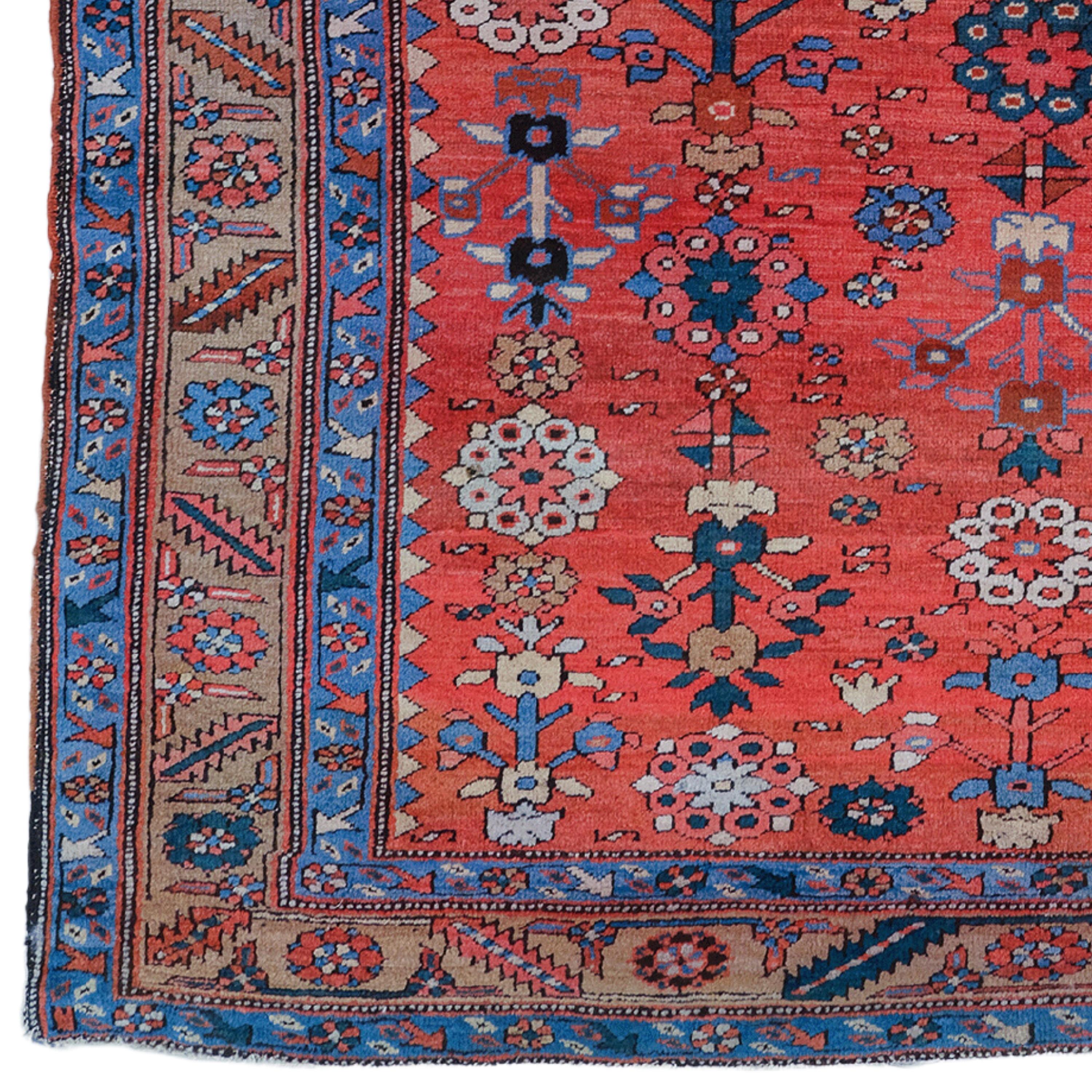 This exquisite antique Bakhsaish carpet is a masterpiece that displays the artistic richness and mastery of handcraftsmanship of the 19th century. This work, carefully woven with wool material, reflects the cultural diversity of its period. This