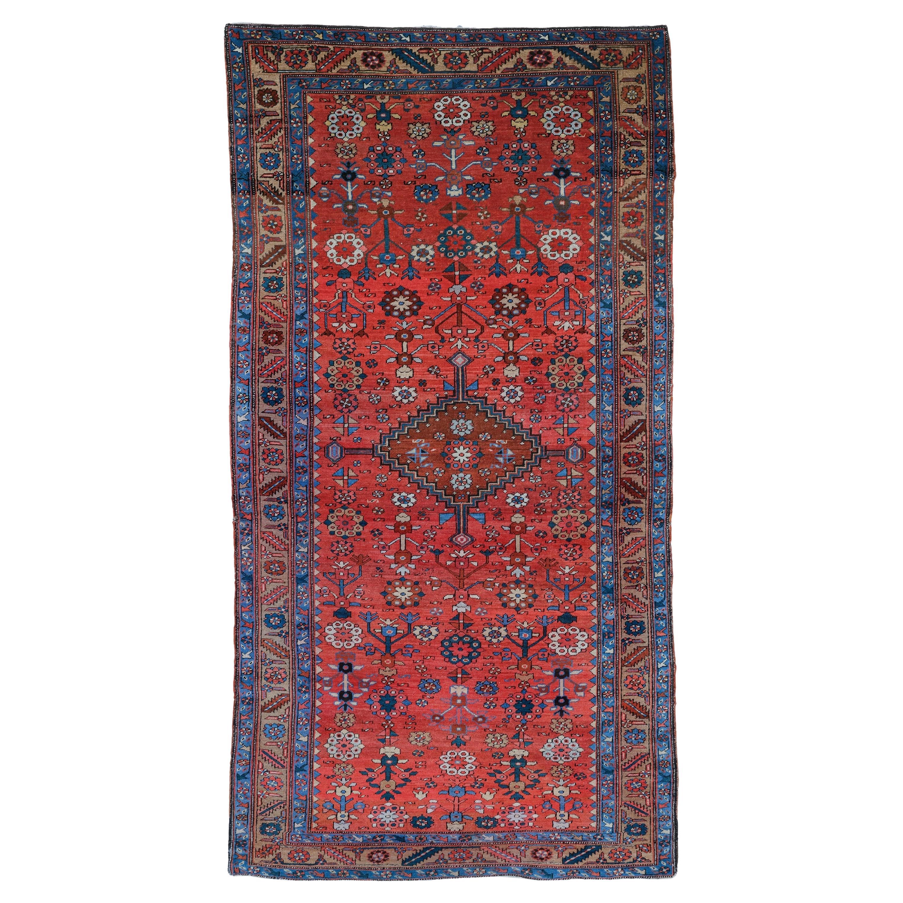 Antiker Bakhsaish-Teppich - 19. Jahrhundert Antiker Bakhsaish-Teppich, antiker Teppich im Angebot