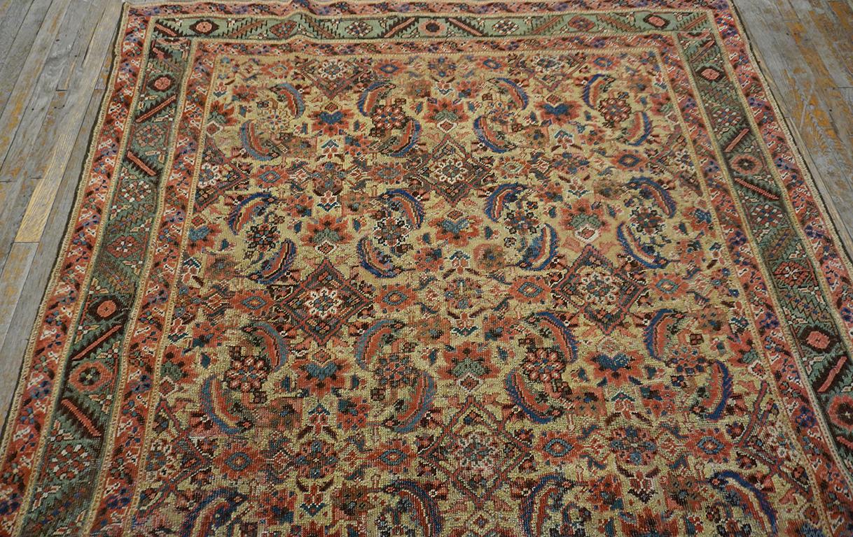 Wool 19th Century N.W. Persian Bakshaiesh Carpet ( 5'9