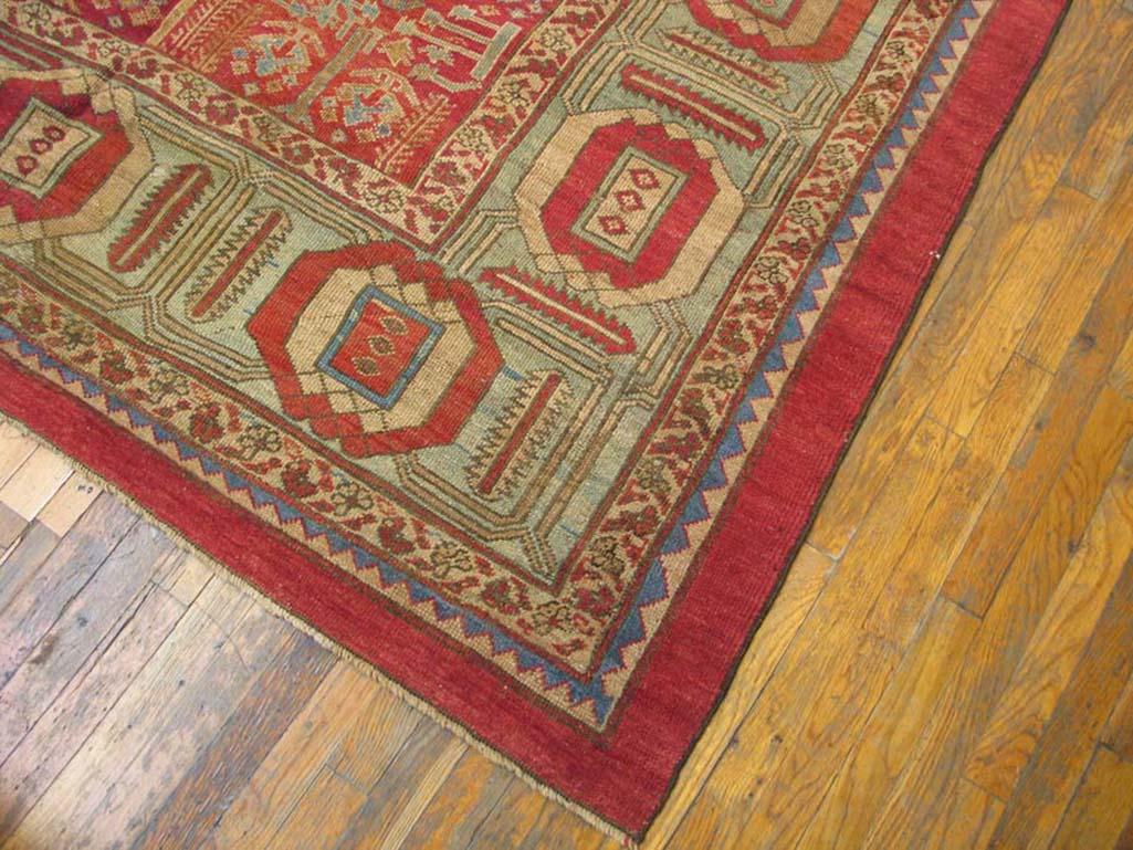 Bakshaish 19th  Century N.W. Persian Bakshaiesh Carpet ( 10'10