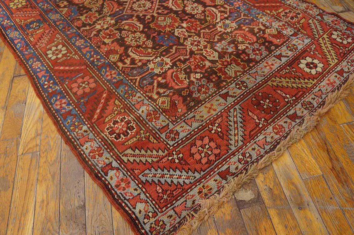 Bakshaish 19th Century N.W. Persian Bakshaiesh Runner Carpet ( 3'5