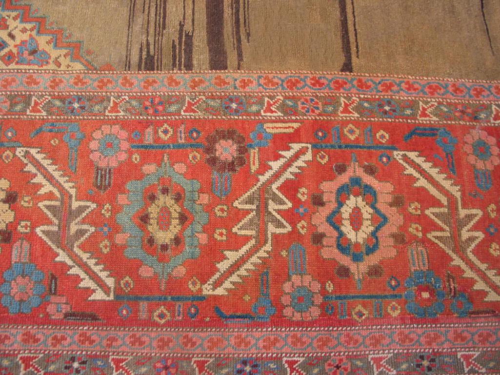 Bakshaish 19th Century N.W. Persian Bakshaiesh Carpet ( 9' x 12'6