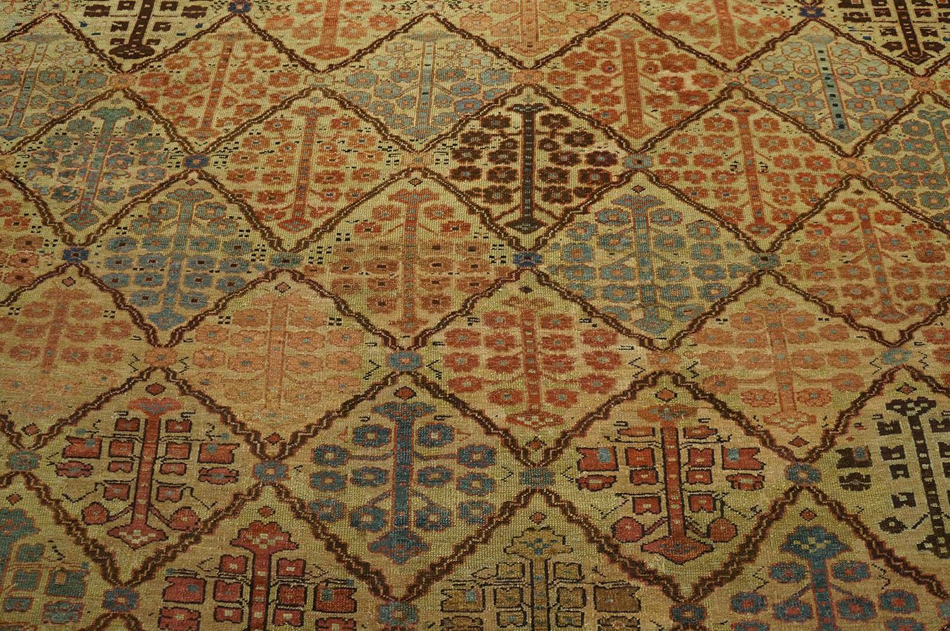 19th Century N.W. Persian Bakshaiesh Carpet ( 9' x 13'2