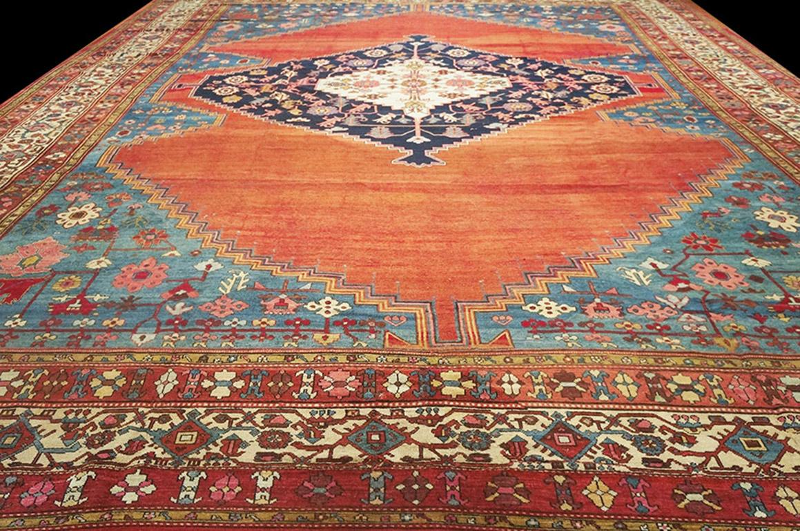 19th Century N.W. Persian  Bakshaiesh Carpet ( 15'8