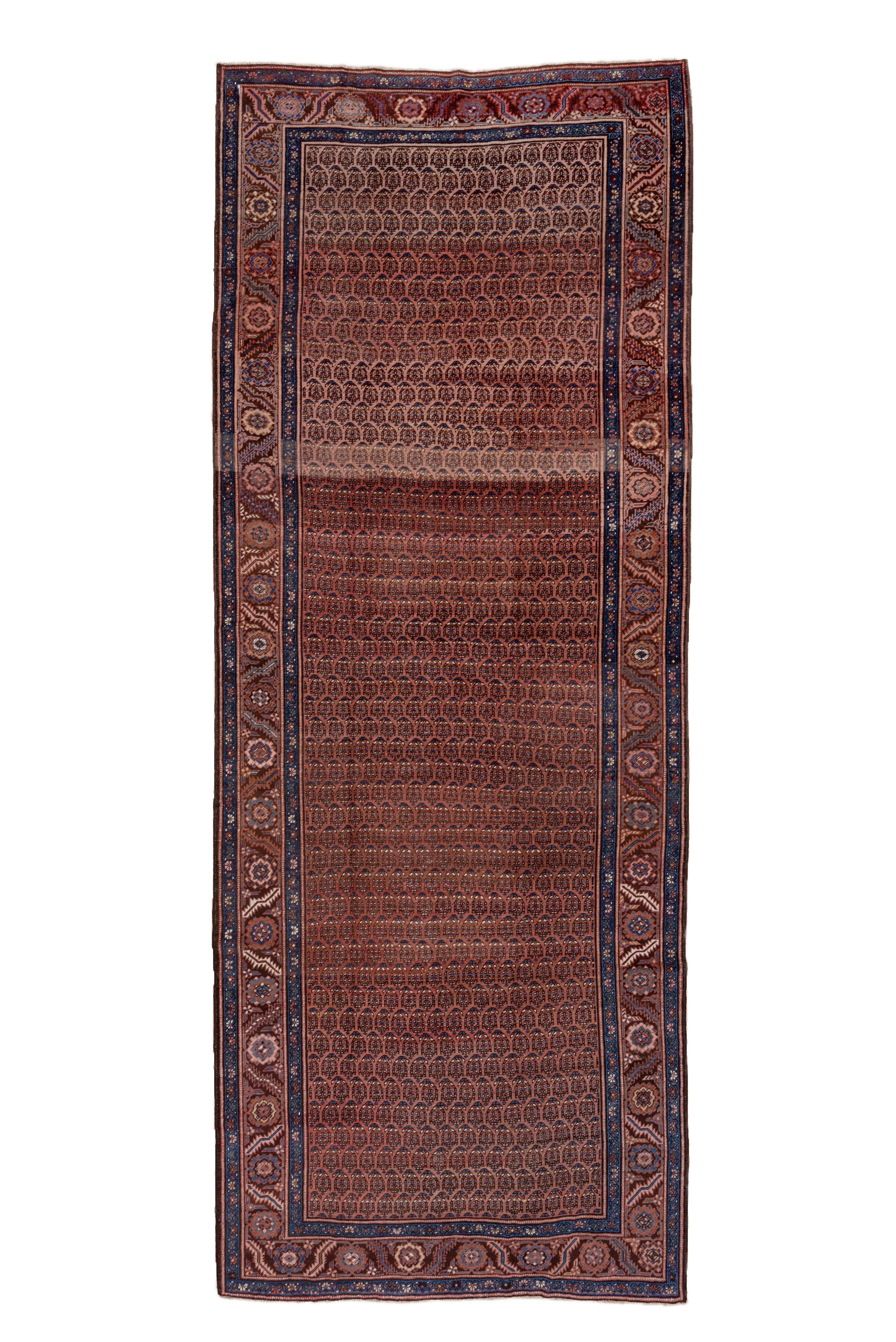 Rows and rows and rows of reversing botehs give a rhythm to the camel-tone field of this pre-export rustic kellegi (long rug). Visible abrash.  Madder strip style border of nested rosettes and doubly bent leaves. Generally good condition for the age