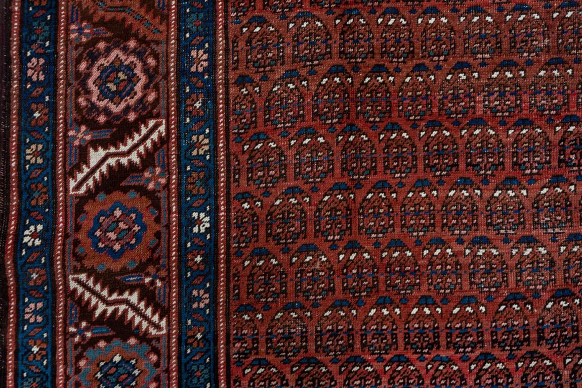 19th Century Antique Bakshayesh Heriz Long Carpet, Camel Toned Field  For Sale