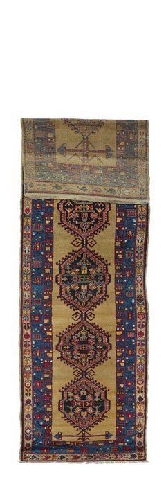 Antique Bakshayesh Rug 3'6'' x 14'3''