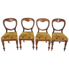 Antique Balloon Back Walnut Chairs, Set of Four, Scotland 1890, B1690