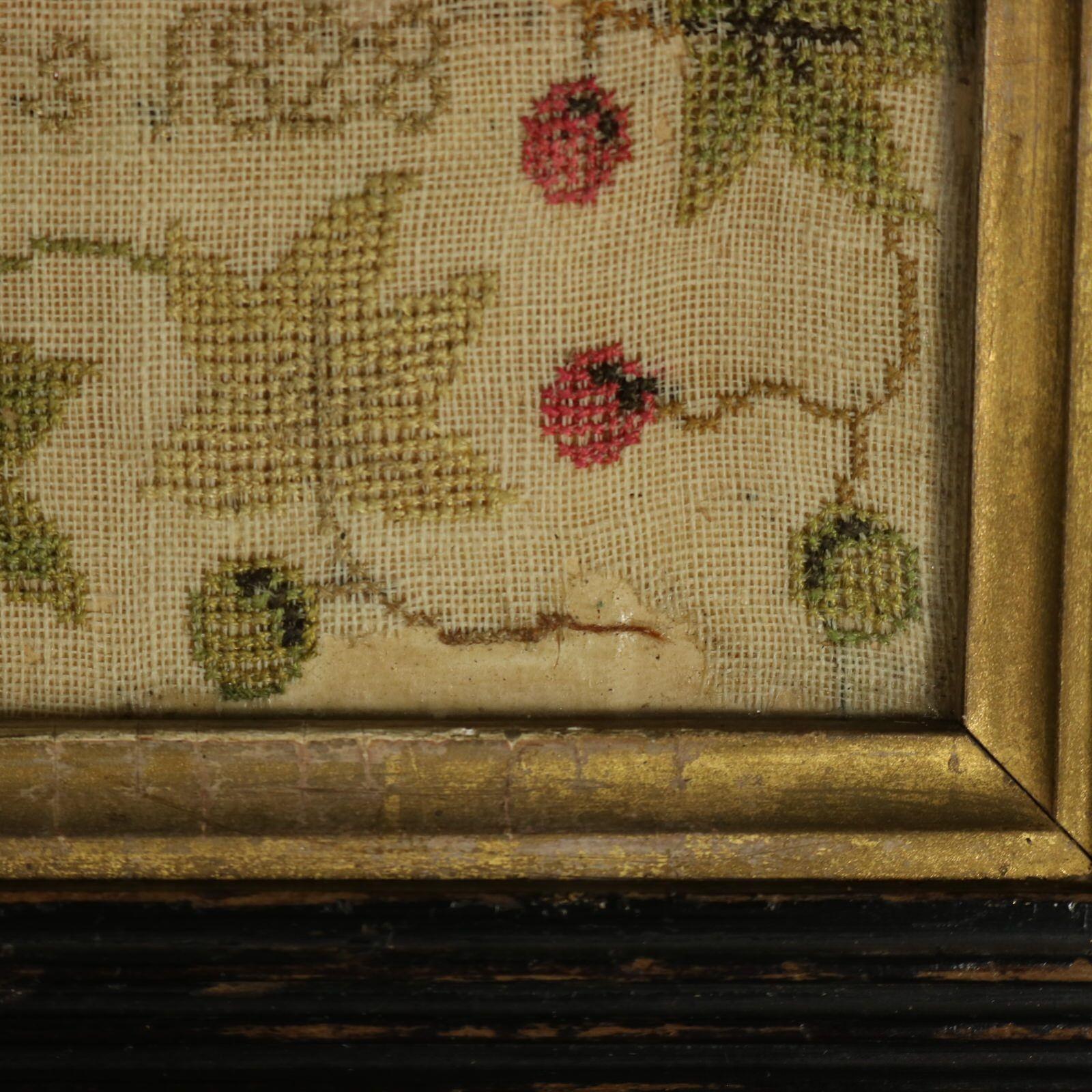 Antiguo muestrario de globos, 1828, por Mary Ann Paine en venta 9