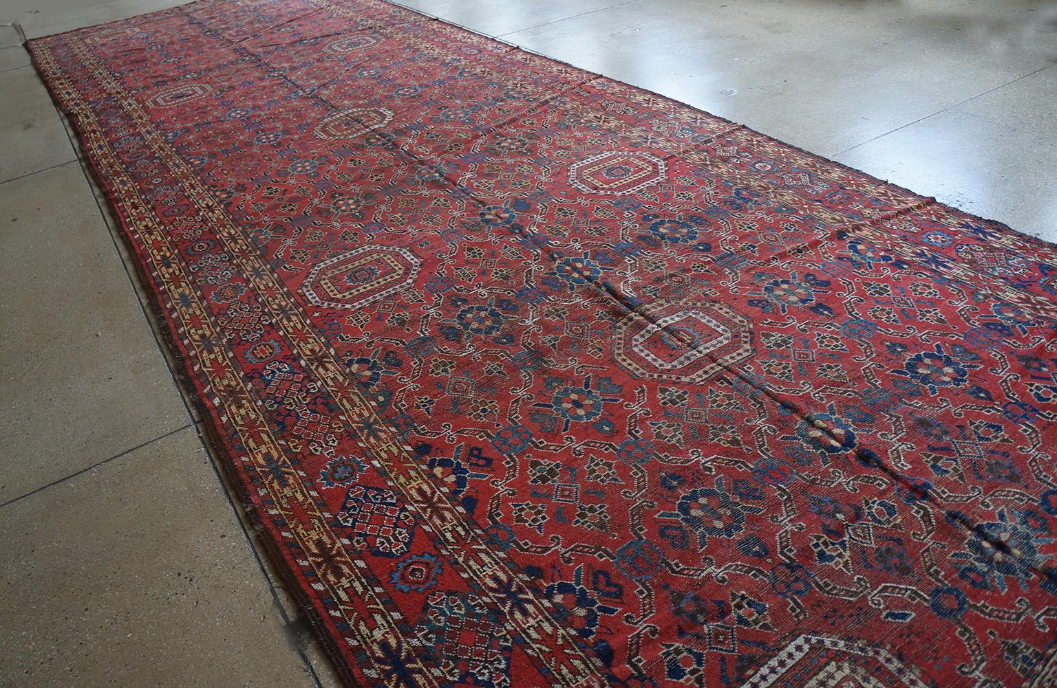 Russian Mid-19th Century Central Asian Beshir Gallery Carpet ( 6'7