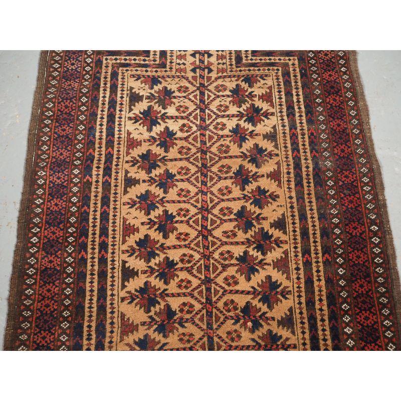 Antique Baluch Camel Ground Prayer Rug with Tree of Life, circa 1900 In Excellent Condition For Sale In Moreton-In-Marsh, GB