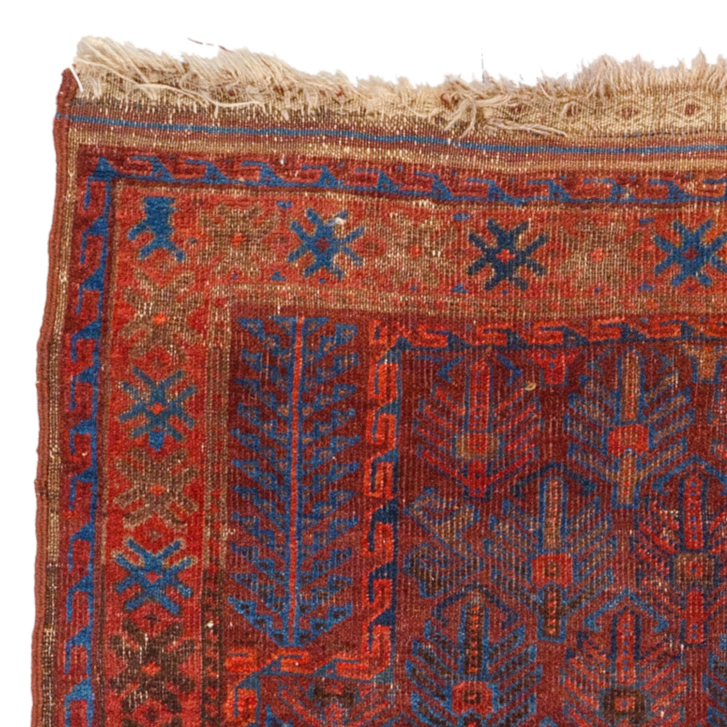 Antique Baluch Prayer Rug - 19th Century Turkmen Baluch Prayer Rug, Antique Rug For Sale 1