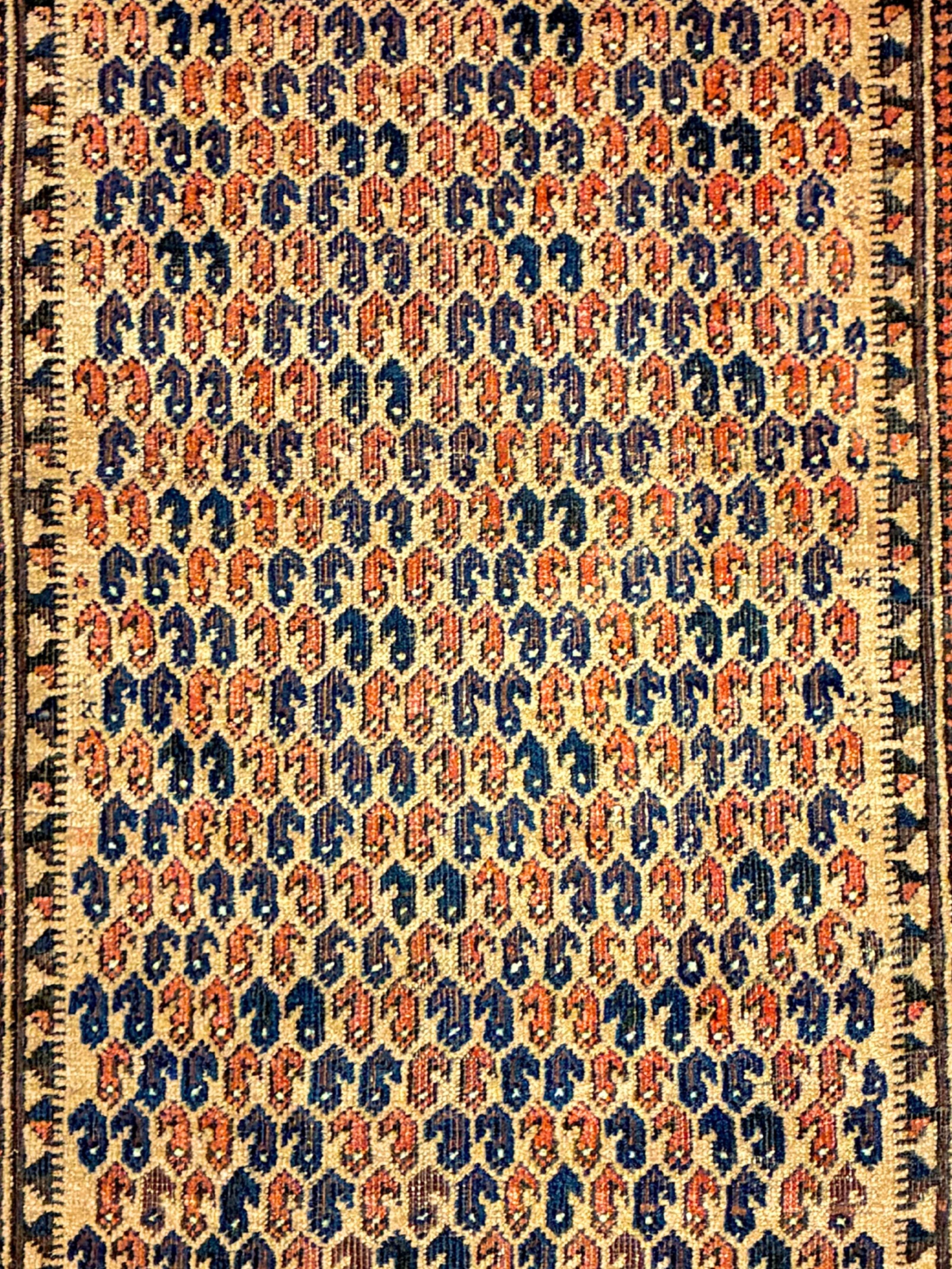 Antiker belutschischer Gebetsteppich, Ende 19. Jahrhundert (Persisch) im Angebot