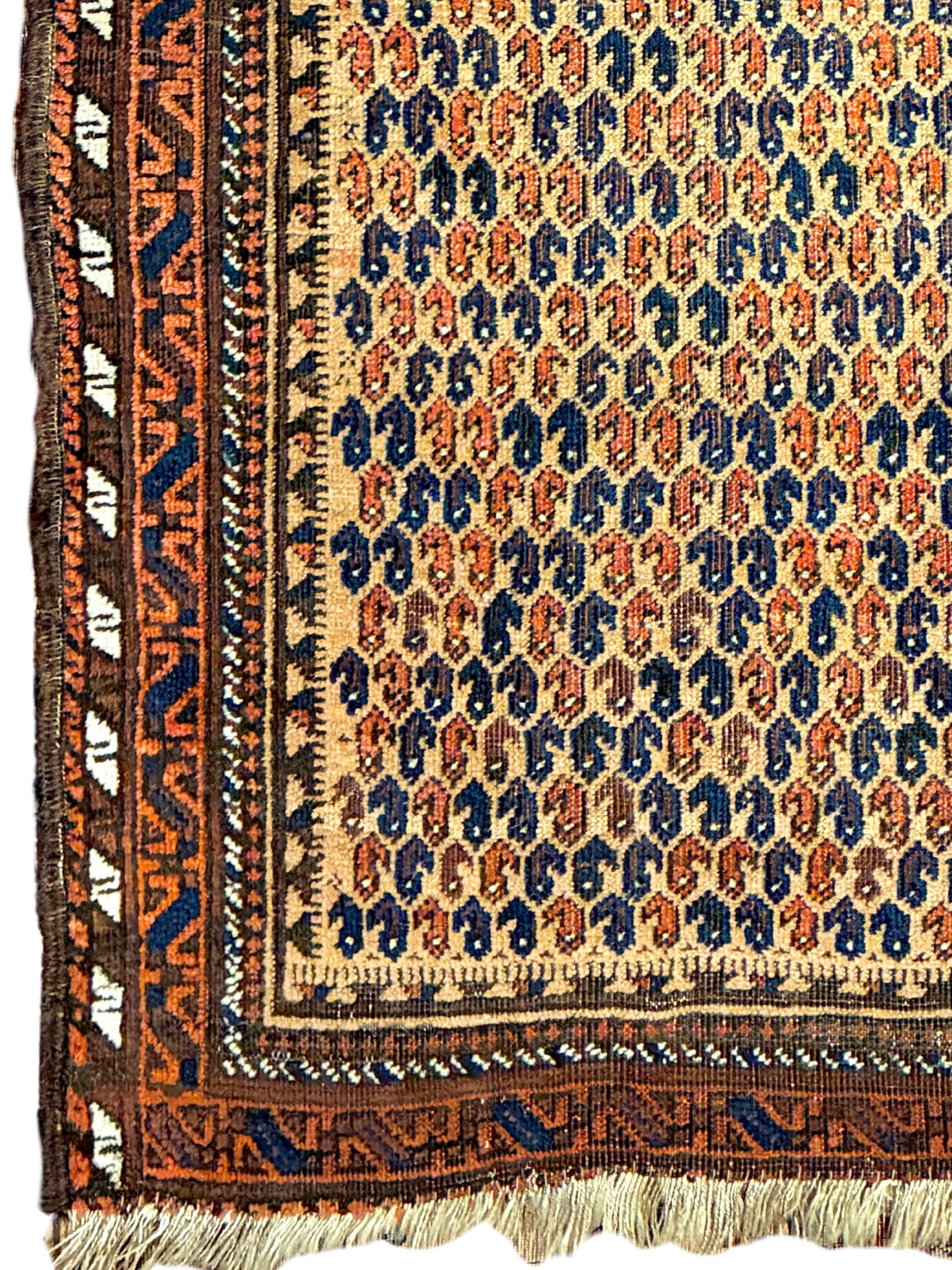 Antiker belutschischer Gebetsteppich, Ende 19. Jahrhundert (Handgeknüpft) im Angebot