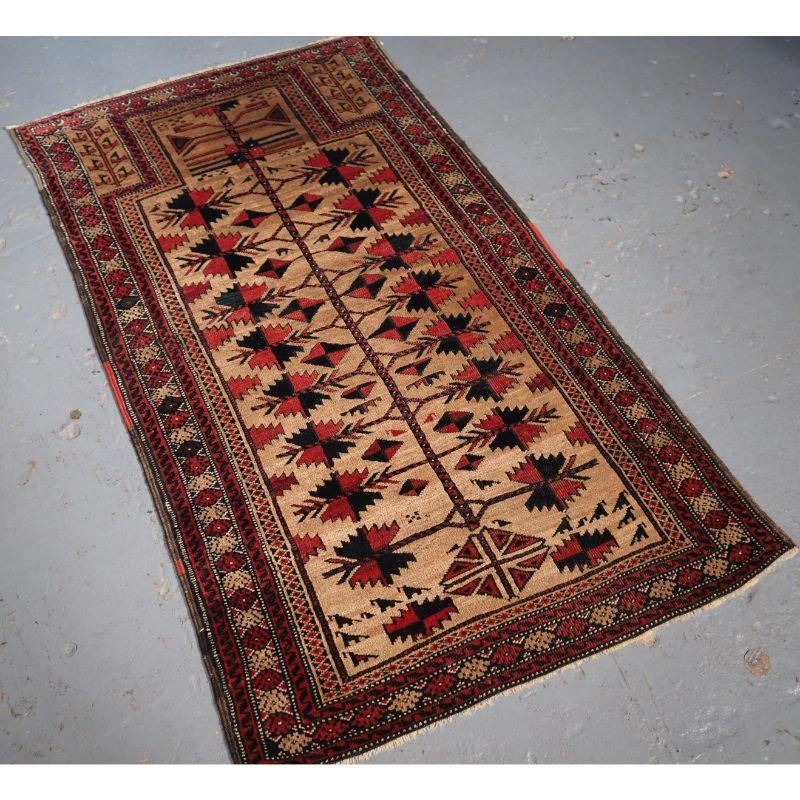 Antique Afghan Baluch camel ground prayer rug with tree of life.

The rug is beautifully drawn with a tree of life and has excellent colour, the camel wool ground is very soft. The rug has a traditional Baluch design to the main border.

The rug