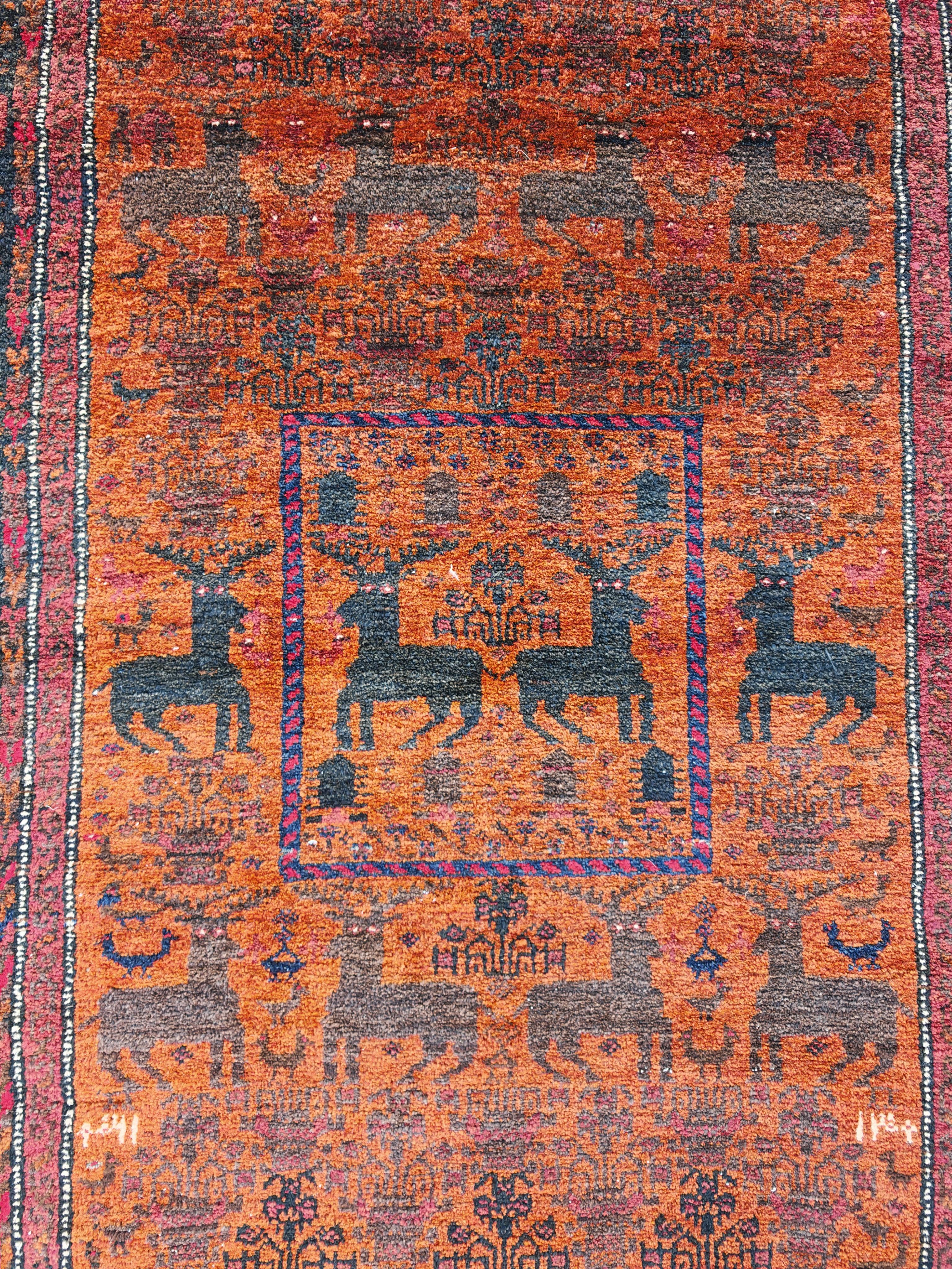 Afghan Tapis ancien de Baluchi avec motif de cerf, noué à la main, laine teintée naturelle en vente