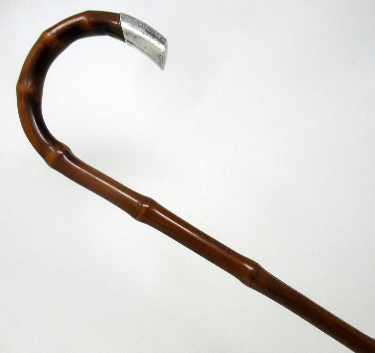 Edwardian Antique Bamboo Wooden Walking Stick Cane Sterling Silver Mount Crook Handle 1908
