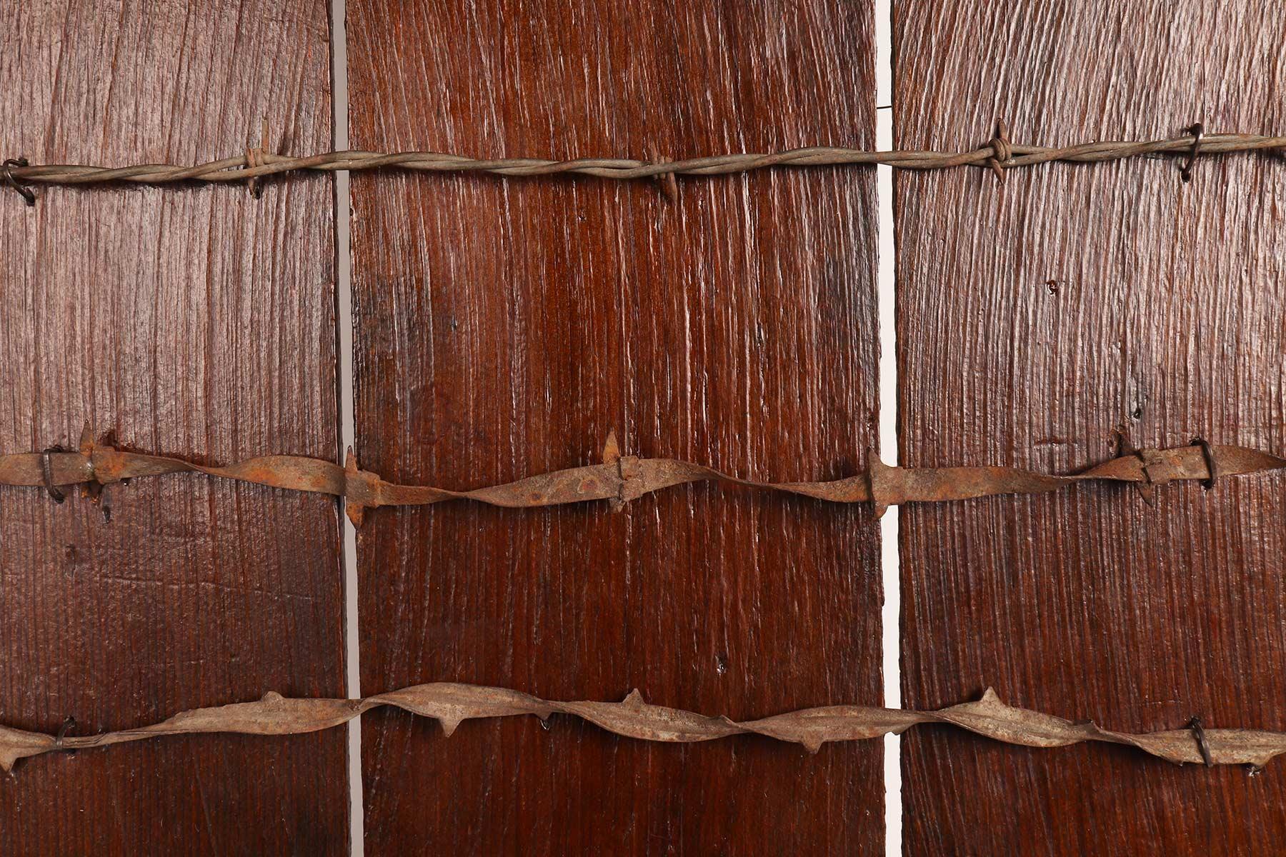 Antike Barbed-Draht-Kollektion auf Holzplatte, aus Kalifornien, Ende des 19. Jahrhunderts (amerikanisch) im Angebot