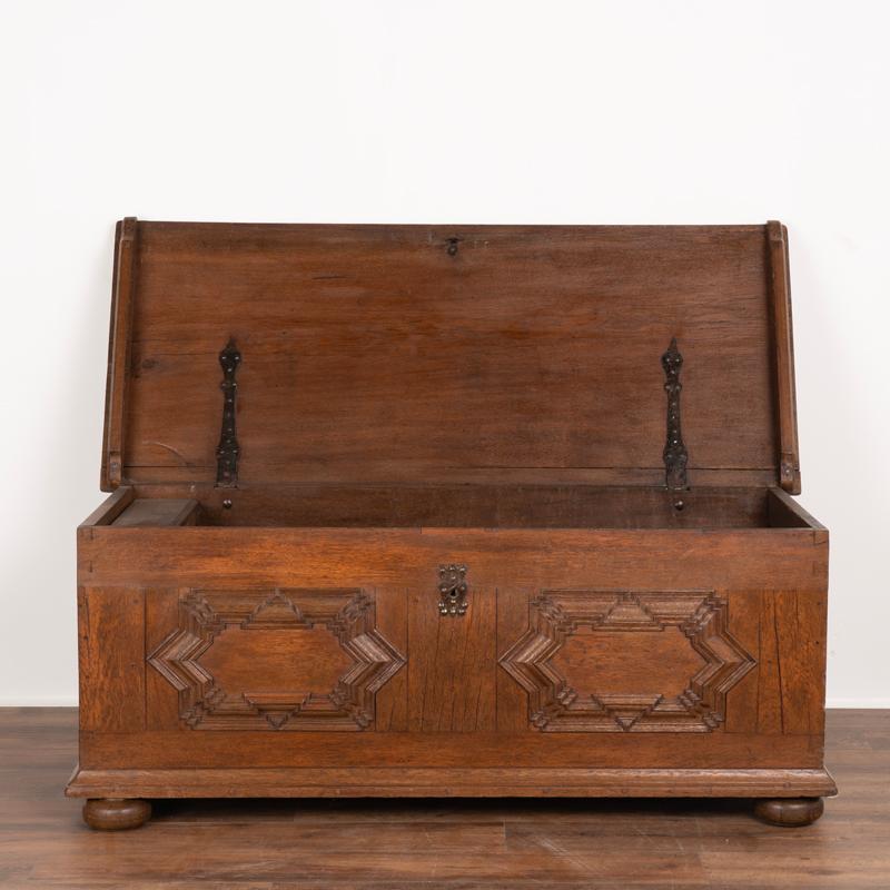 German Antique Baroque 18th Century Oak Trunk With Carved Details For Sale