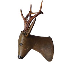 Antique Baroque Black Forest Deer Head Late 18th Century