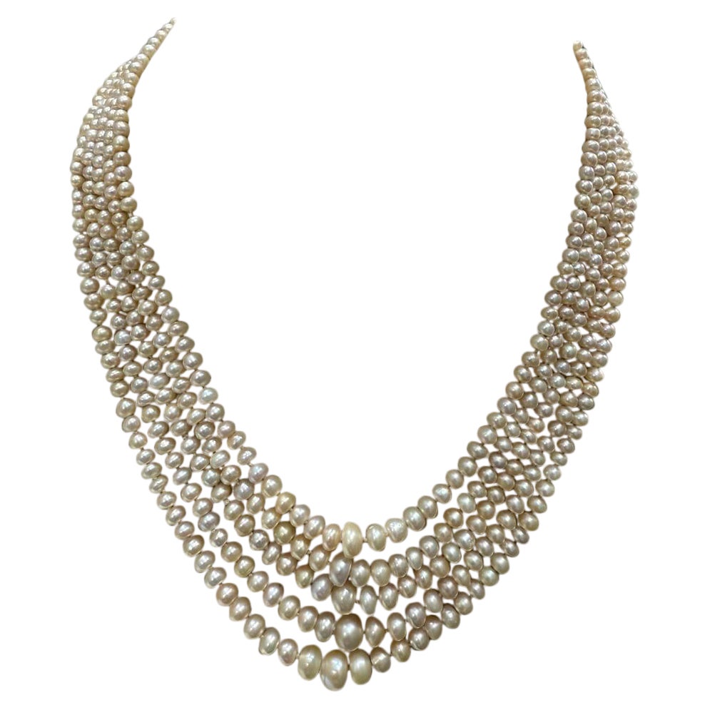 Antica collana di perle di Basra 545 perle 252 carati 8,38 mm - 5,98 - 3,57 mm in vendita