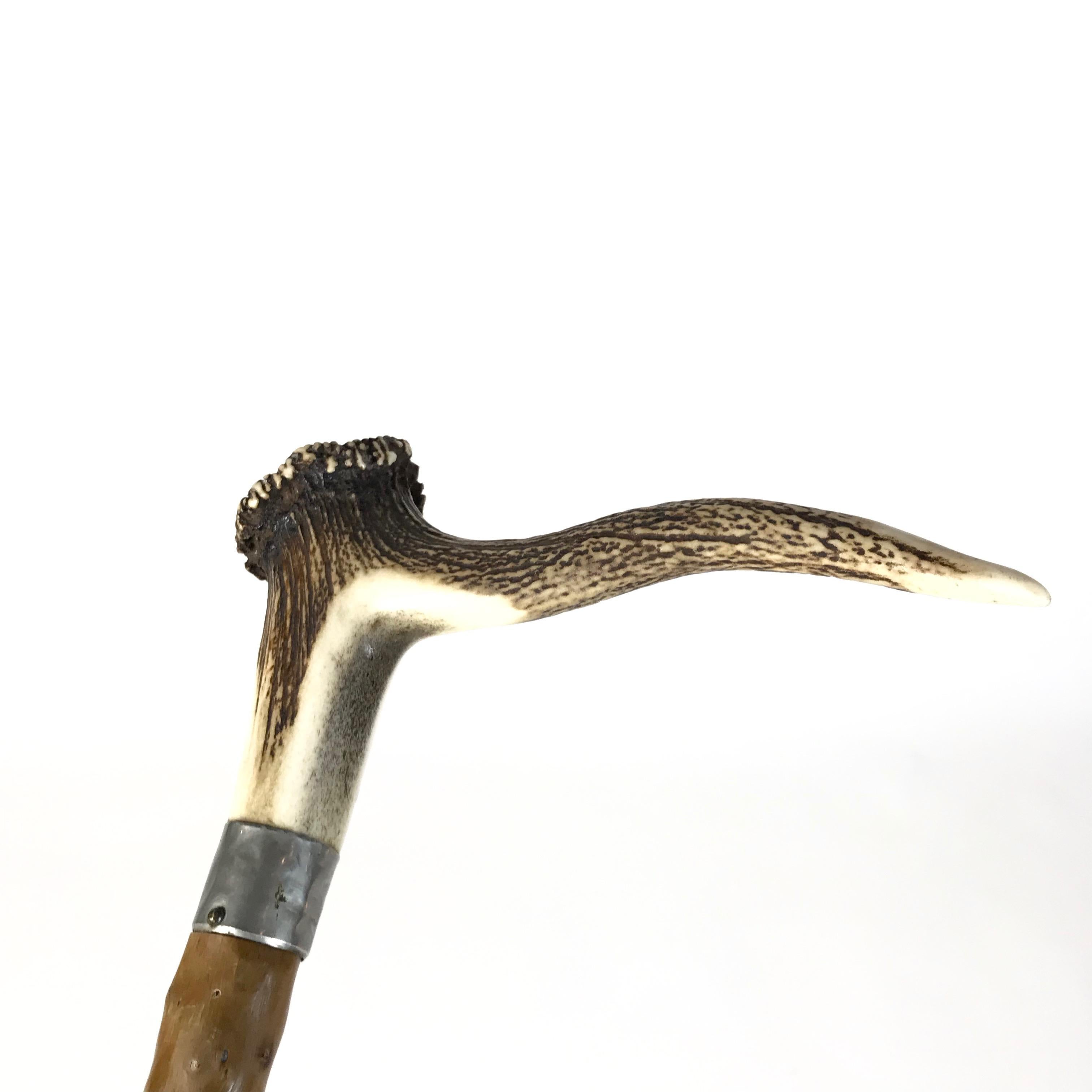 Rustic Antique Bavarian Hunting Antler Walking Stick, 1900s, Germany For Sale