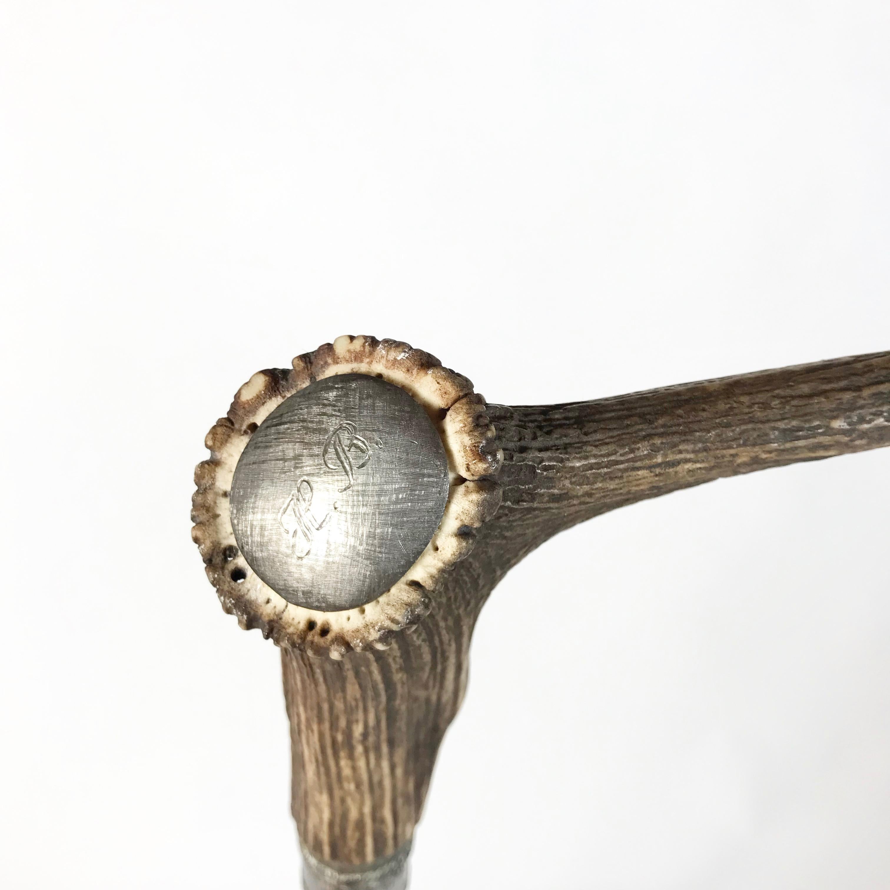 hunting walking sticks