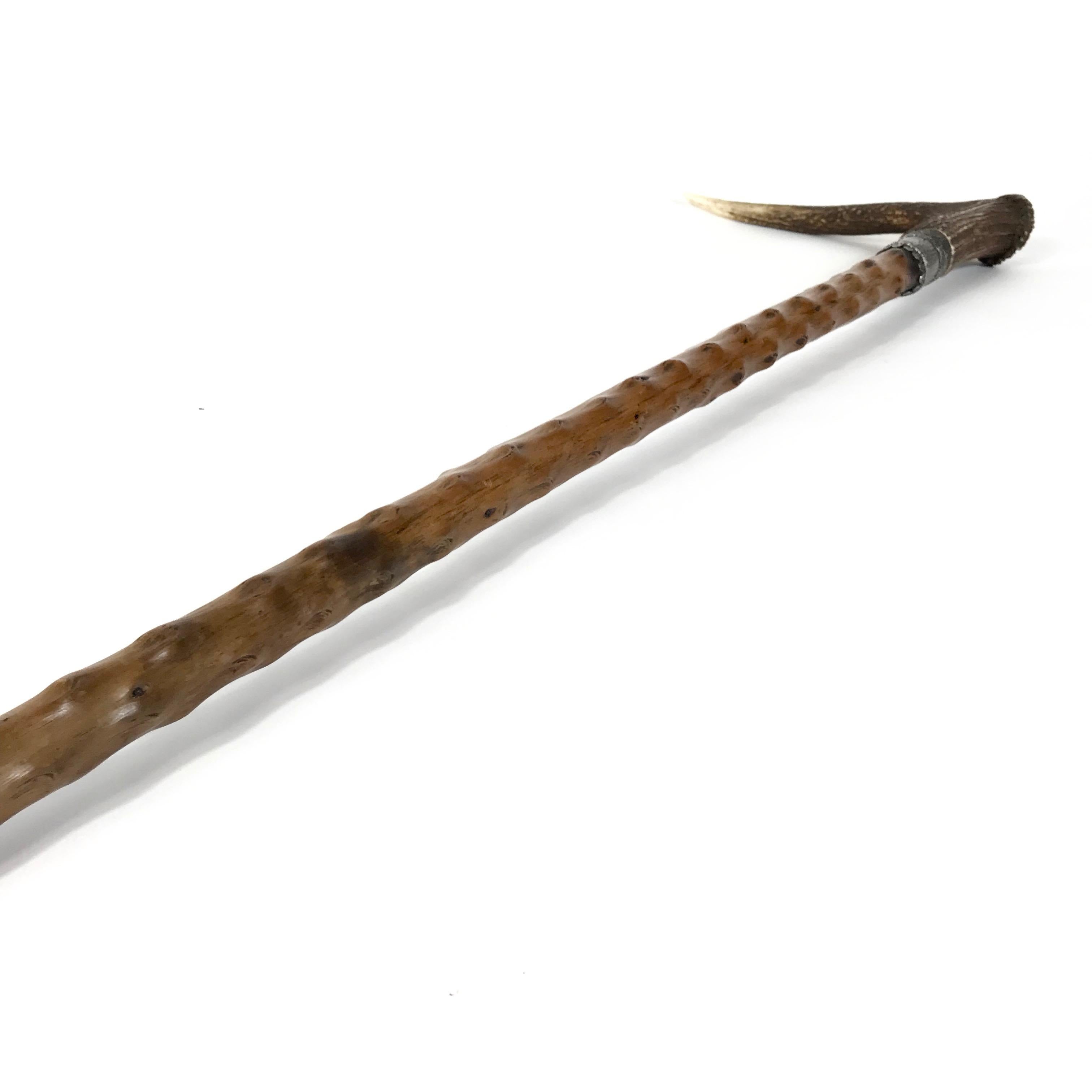 Rustic Antique Bavarian Hunting Antler Walking Stick, 1910s, Germany