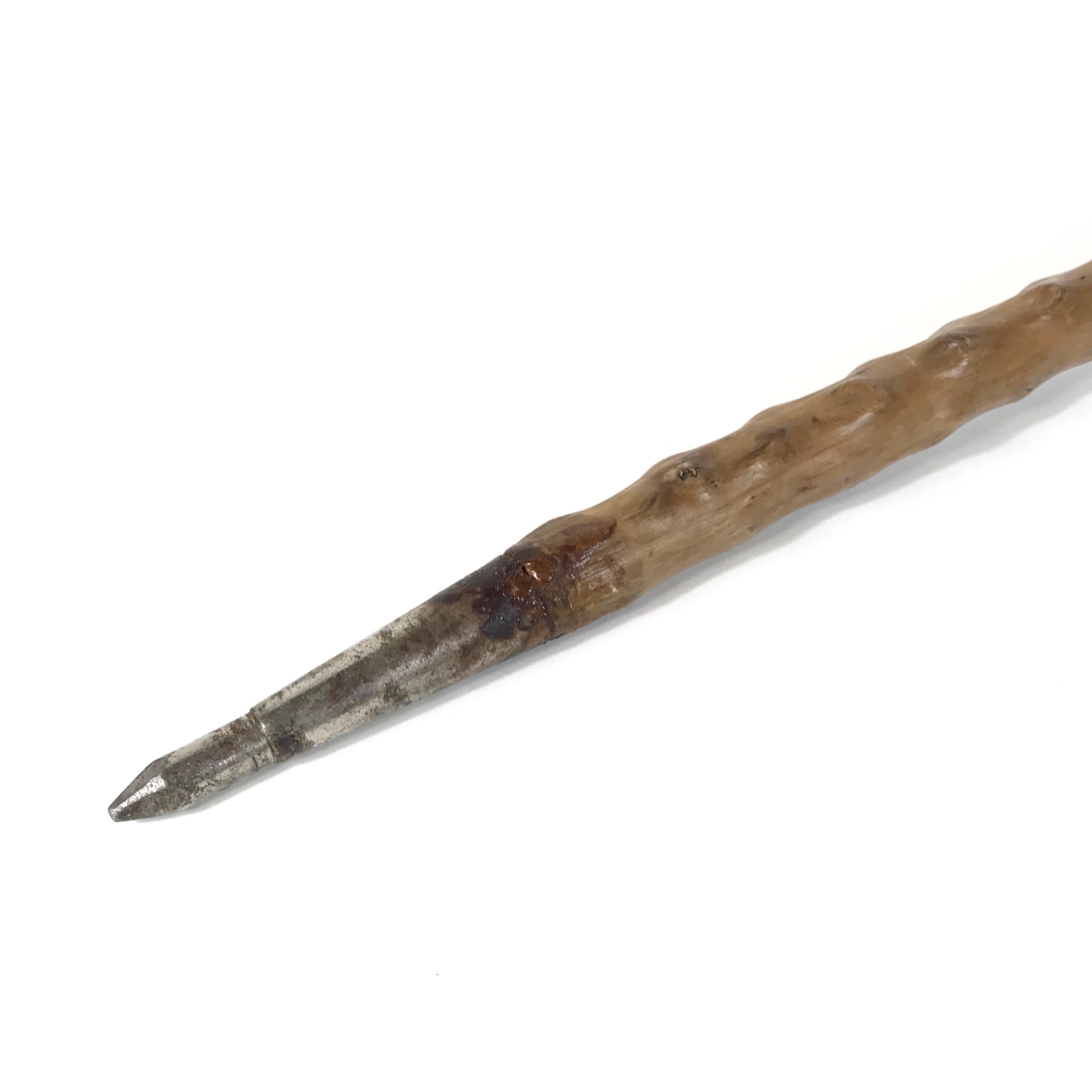 Hand-Crafted Antique Bavarian Hunting Antler Walking Stick, 1910s, Germany